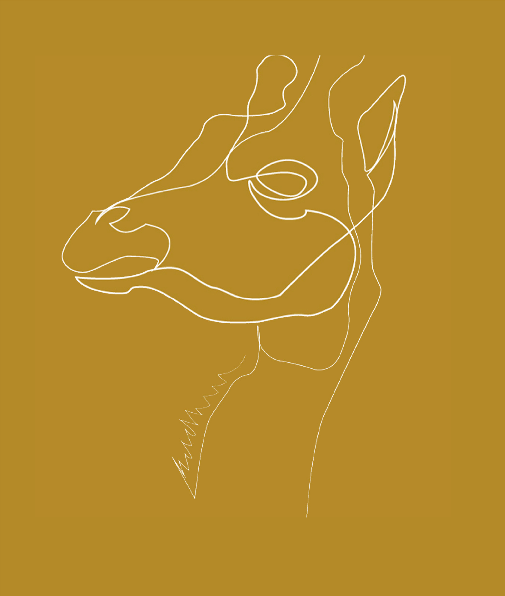 Artboard 1 copy 9.webp