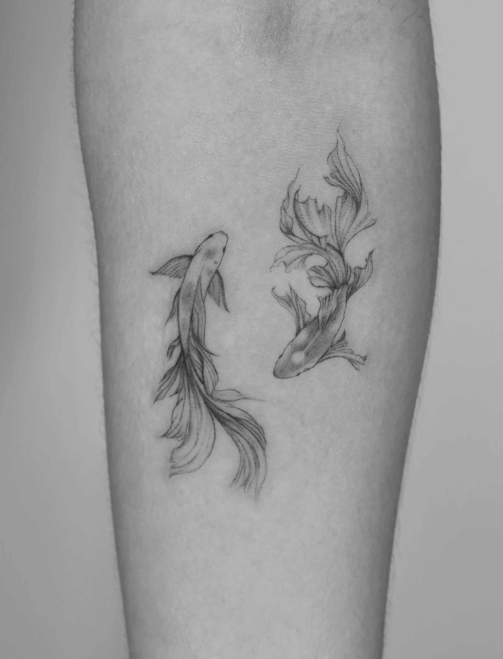 Pisces yin-yang koi fish