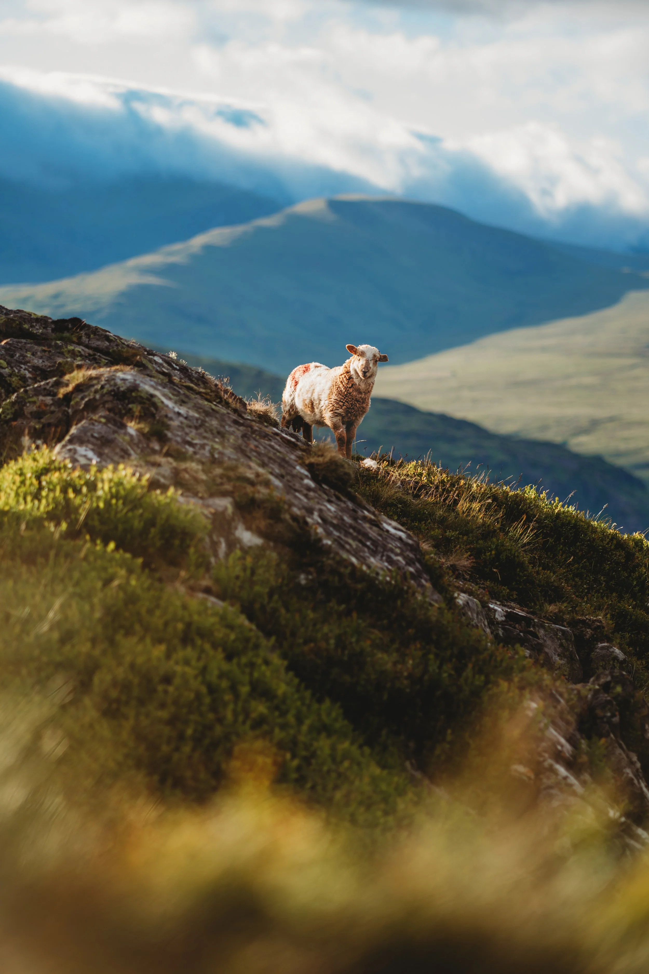 Moel Siabod