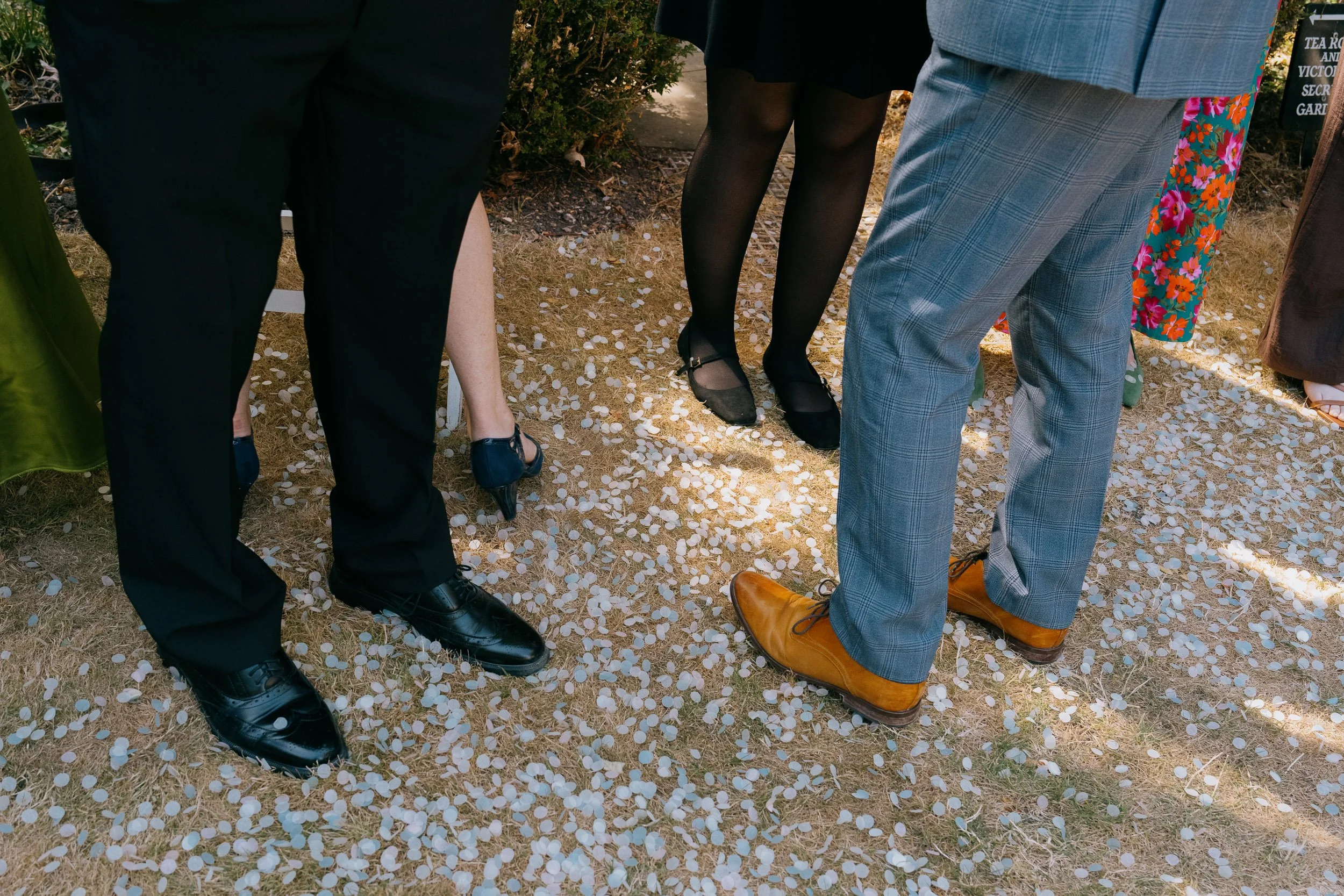 Group of people standing outdoors on a patch of grass covered with white flower petals, focusing on various footwear and part of their legs and clothing.