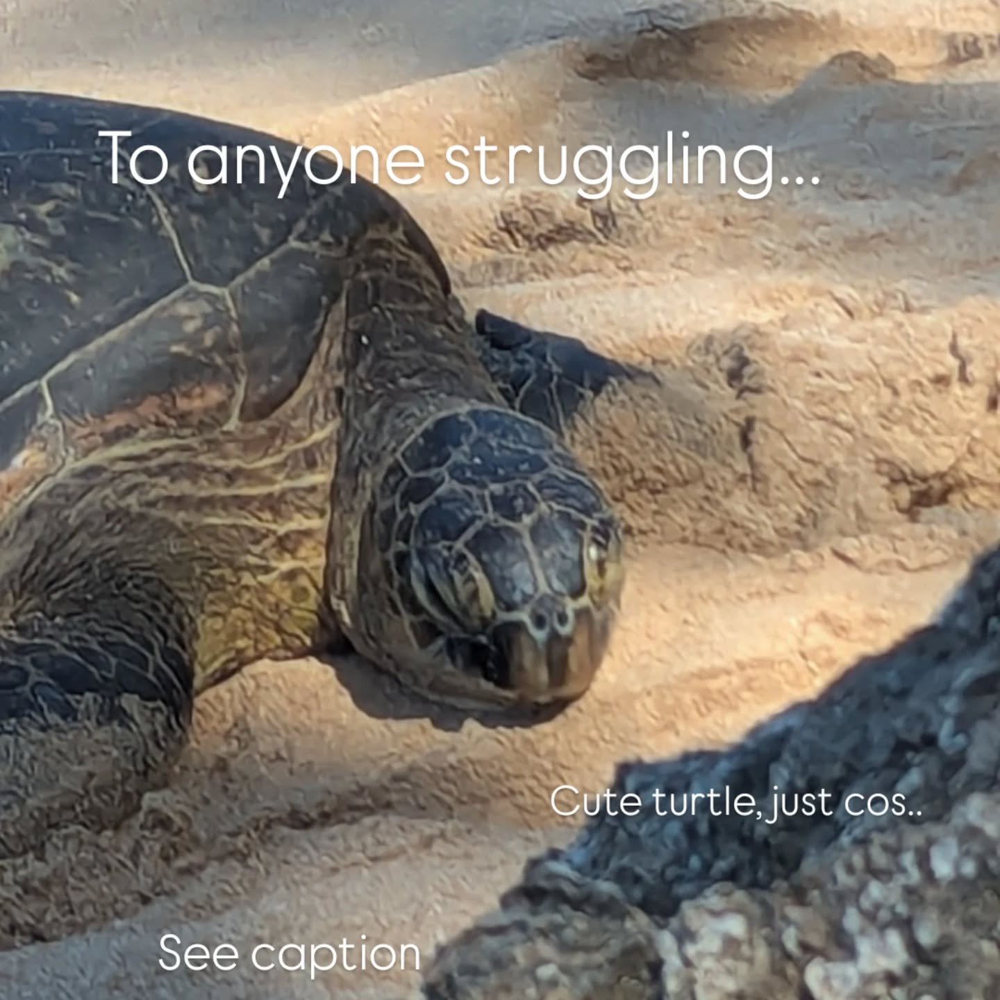 I am a man that has struggled with mental health for as long as I can remember. Depression, anxiety, wanting to hide from everything, not eating, struggling to even shower - cos what's the point. 

It never feels easy, it never feels like it will eve