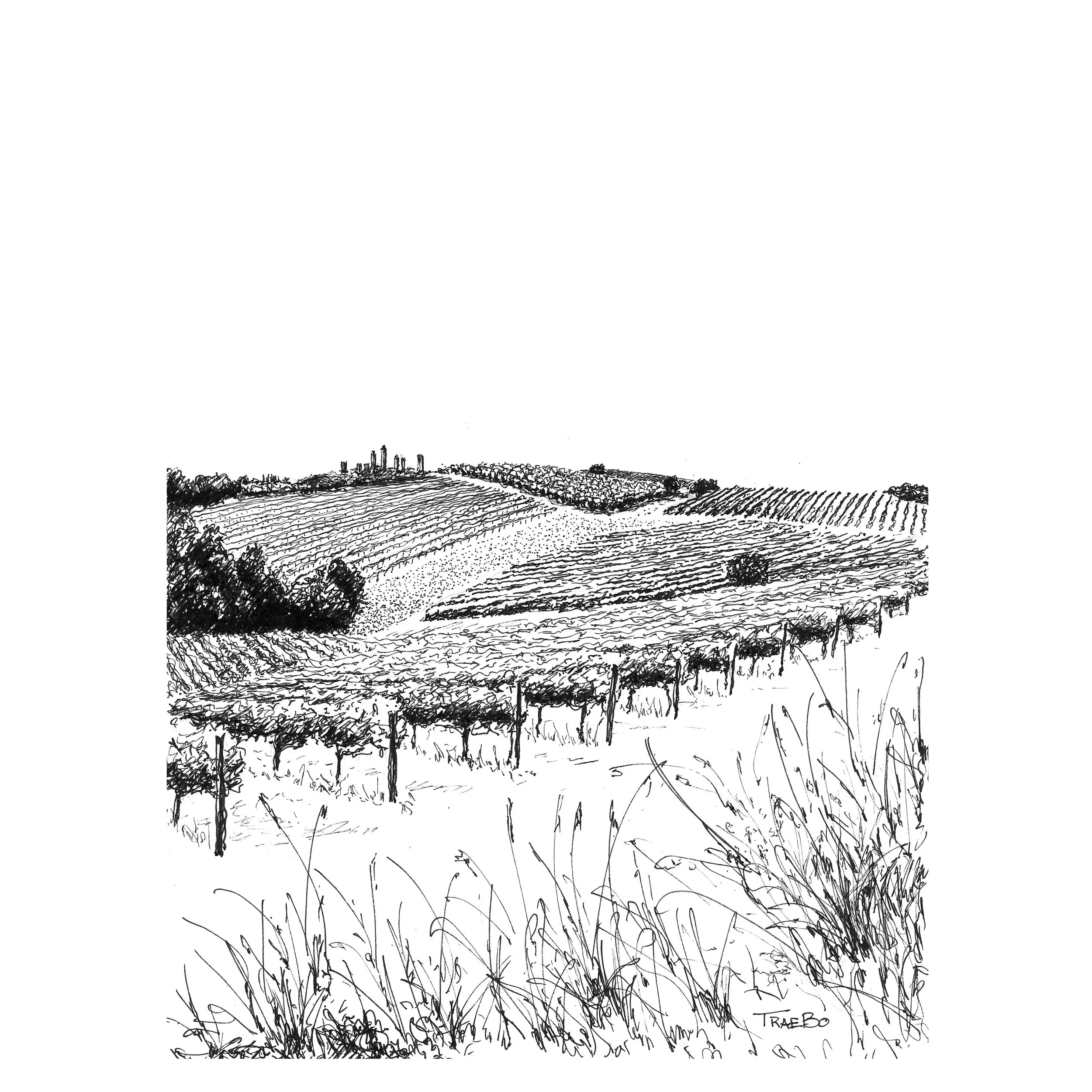 Shop - Tuscan Hills - 8x8.jpg