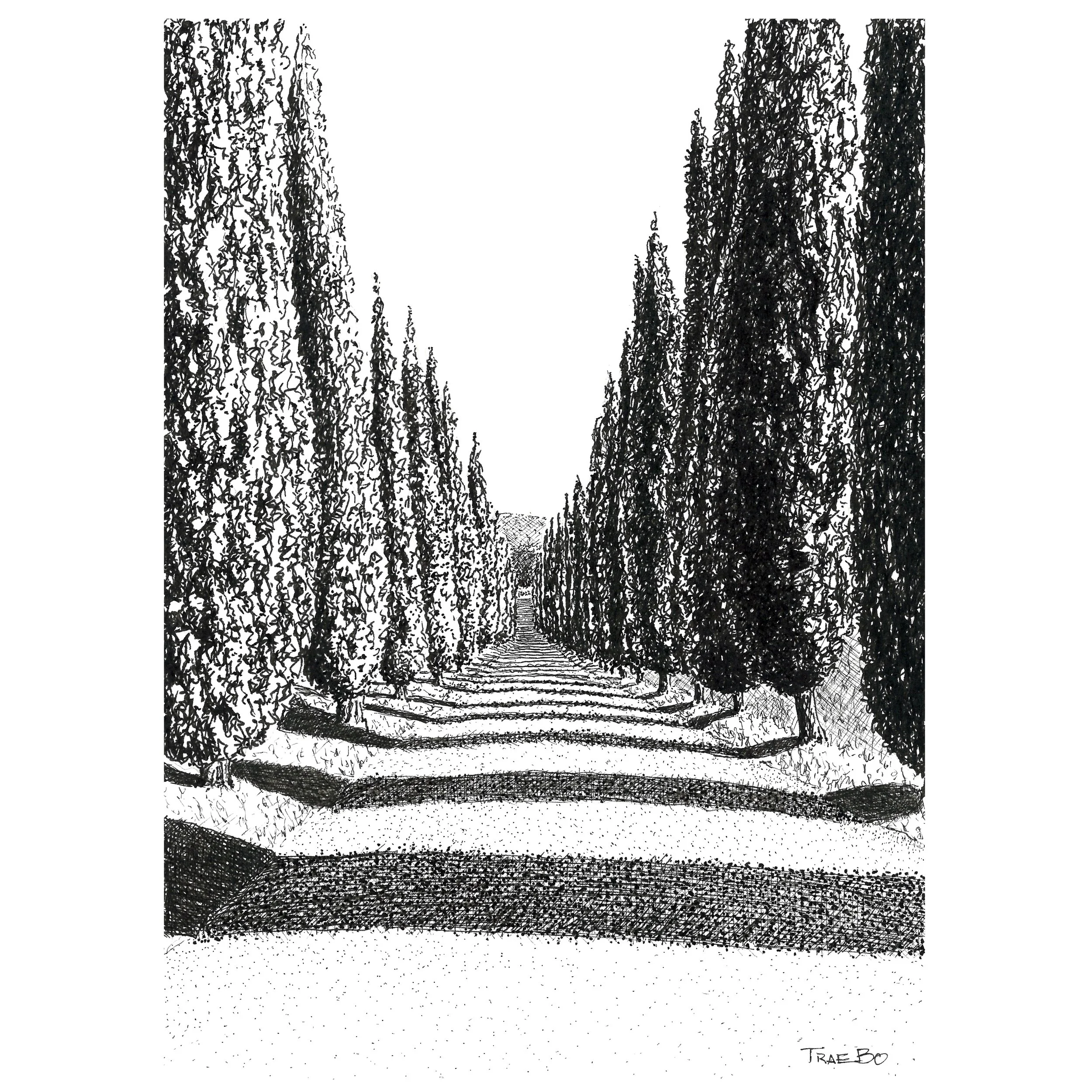 Shop - Tuscan Cypress Avenue - 8x8.jpg