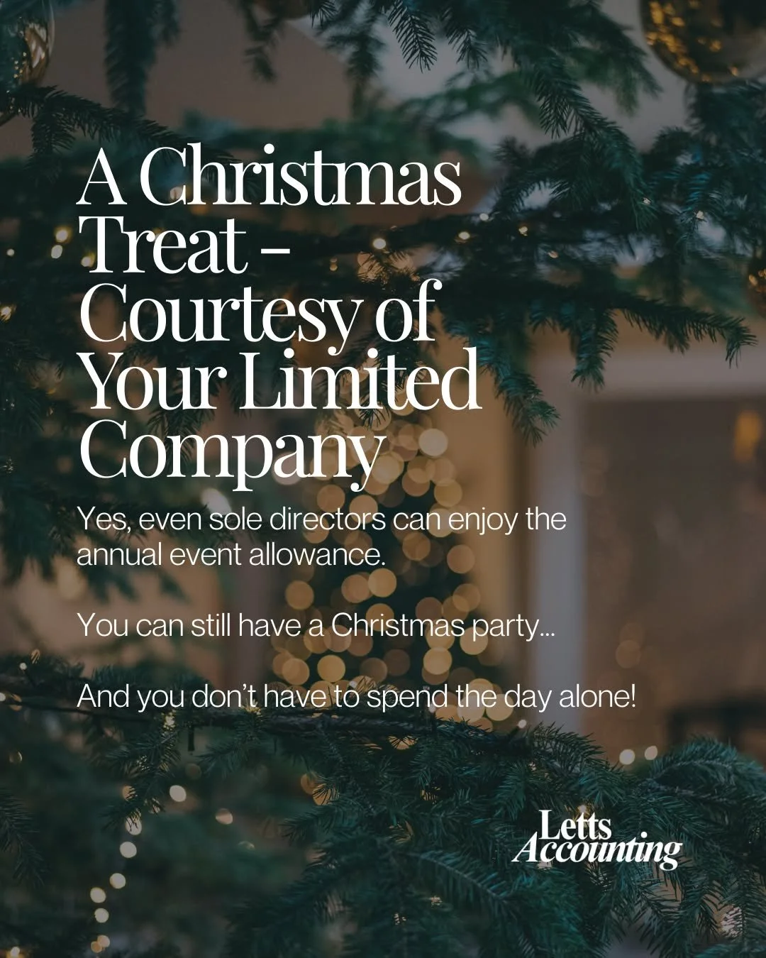 When HMRC says &ldquo;treat yourself,&rdquo; we listen... 

Sole directors can enjoy a fully allowable Christmas celebration worth up to &pound;150 - no team required.

And yes, you can even team up with other sole directors for a shared festive get-