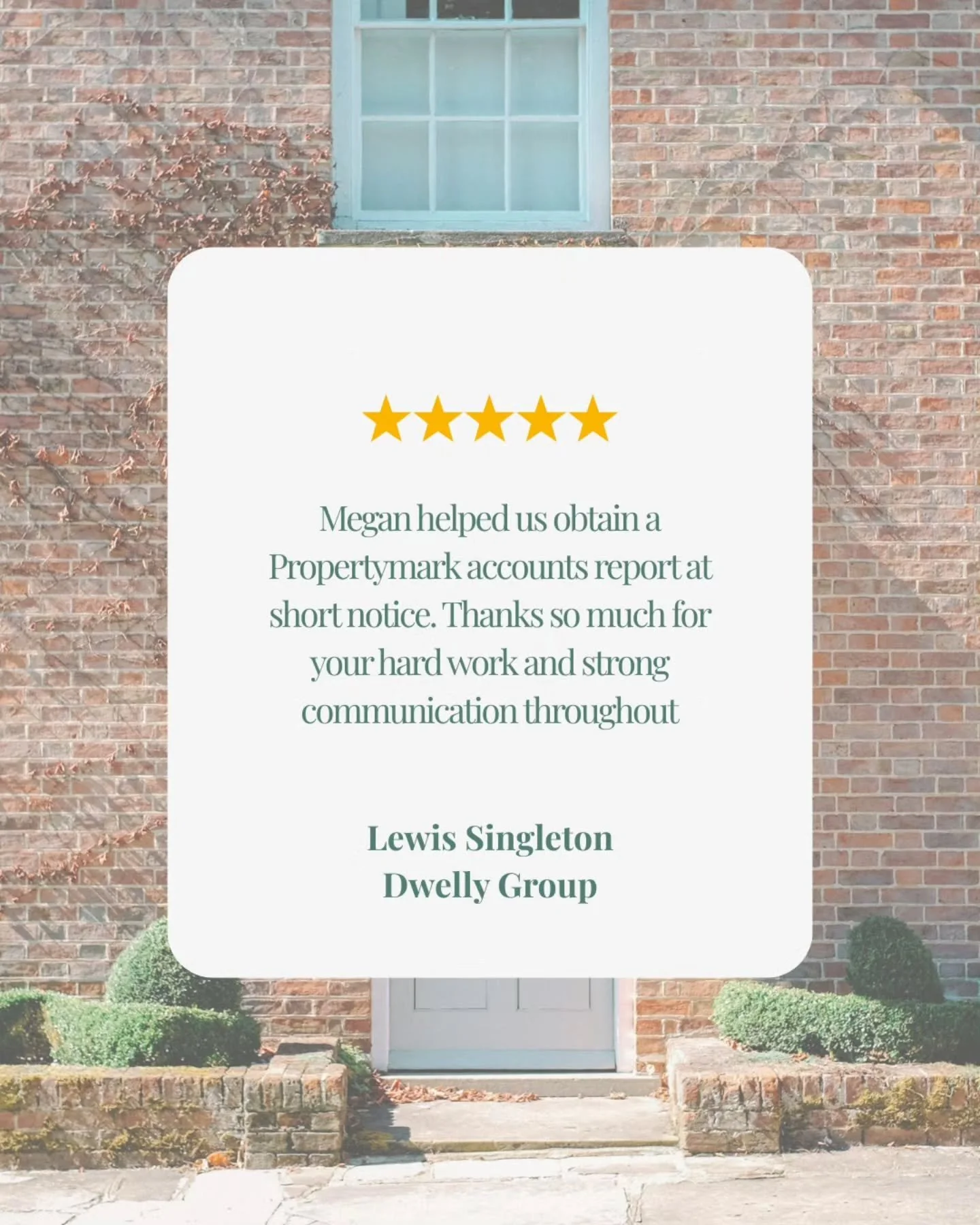 ⭐️⭐️⭐️⭐️⭐️