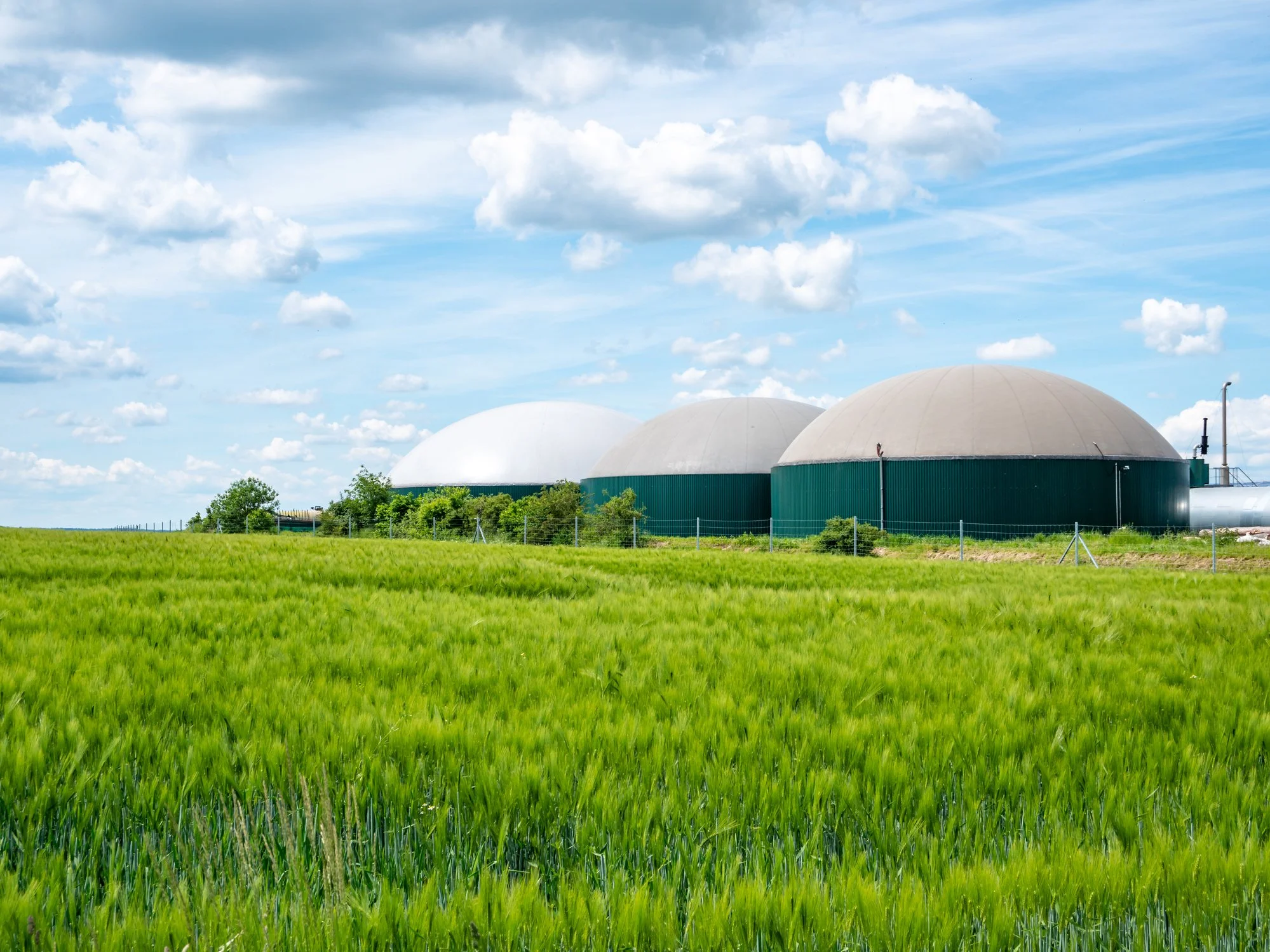 A field of green grass with three large storage tanks in the background under a blue sky with scattered clouds.