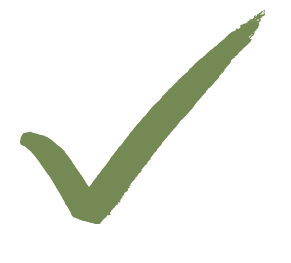 Green checkmark symbol