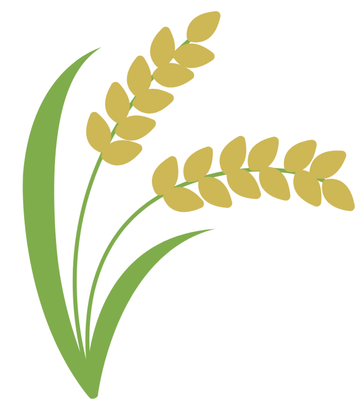 Illustration of yellow wheat stalks with green leaves on a black background.