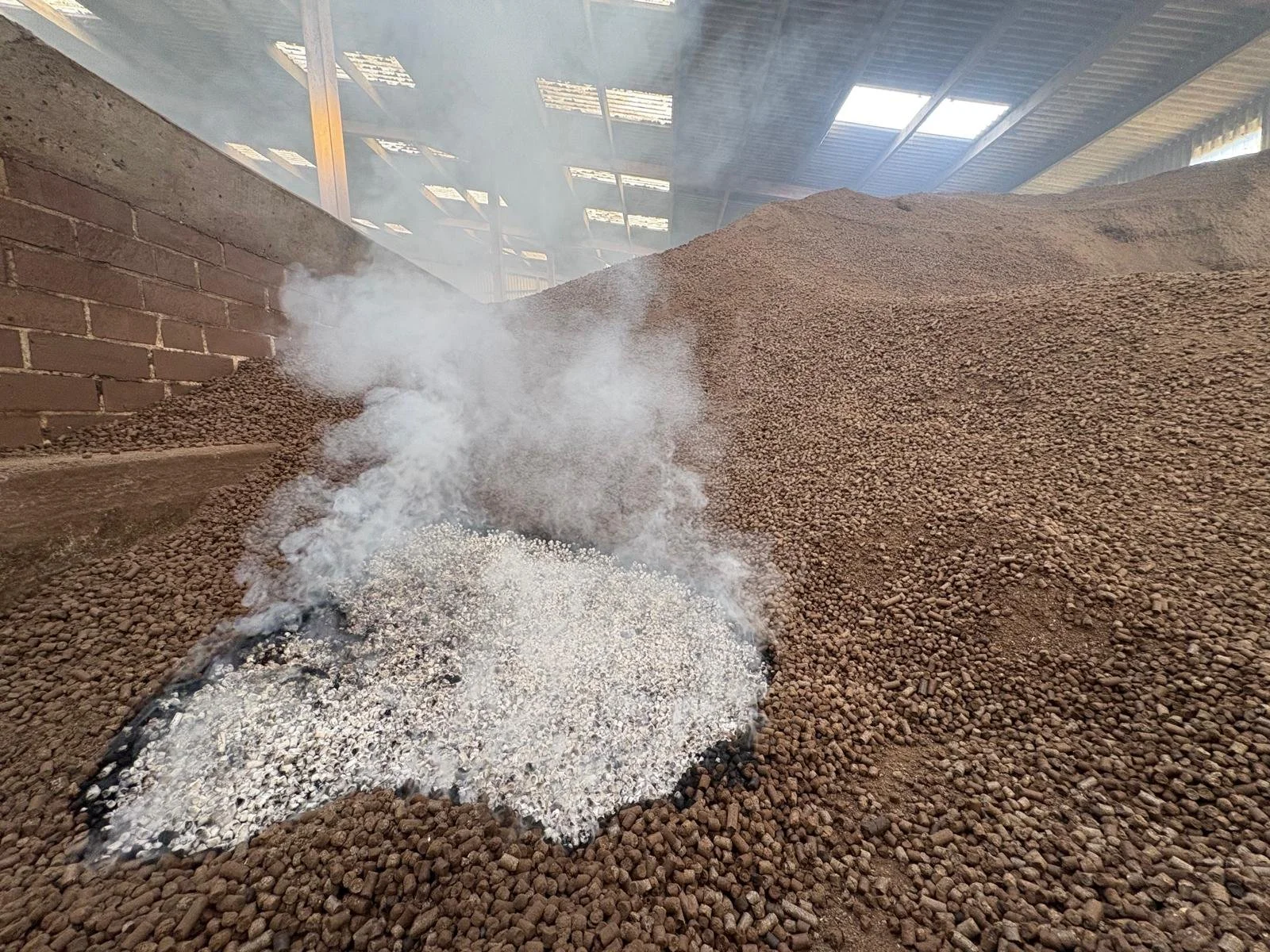 Sun husk pellets self-heating inside a warehouse with steam rising.