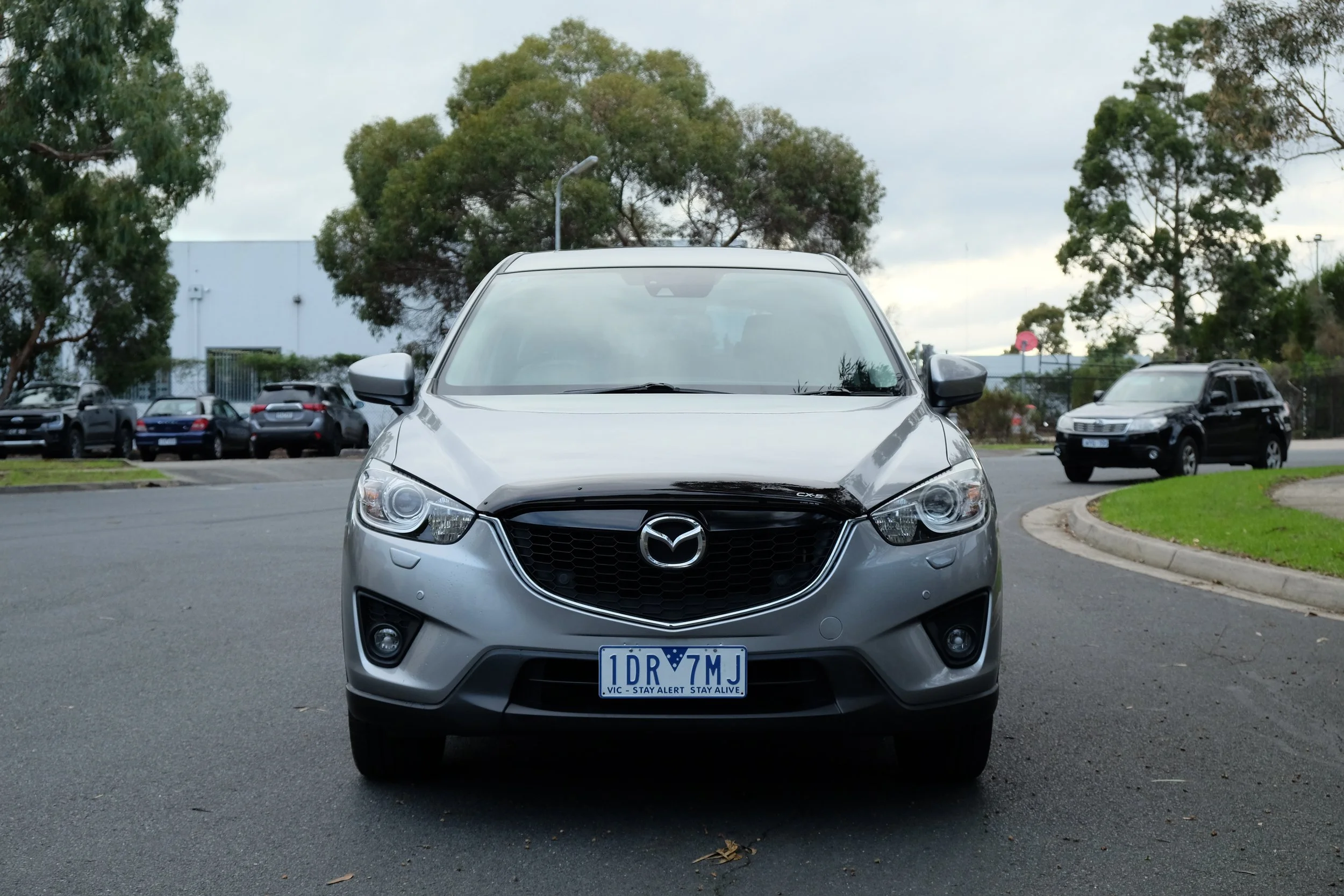 DSCF6593.JPG