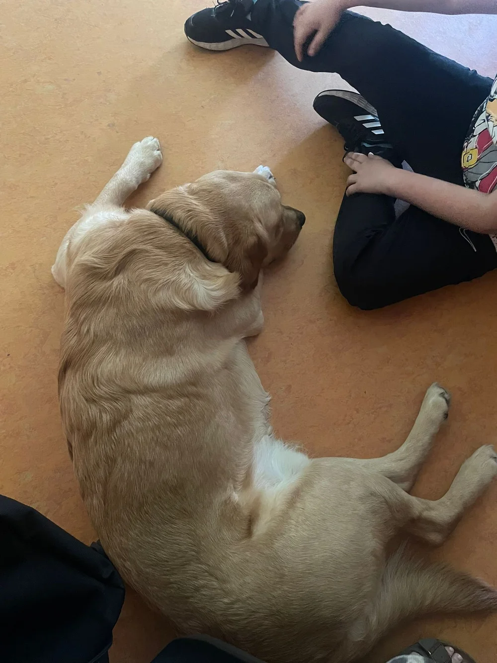 WhatsApp Image 2025-09-15 at 18.42.24.jpeg