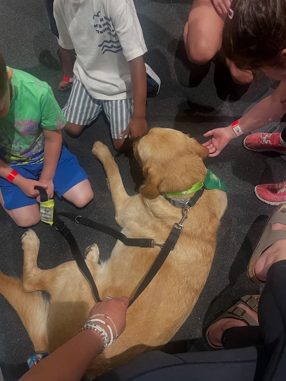 WhatsApp Image 2025-09-15 at 18.41.52.jpeg