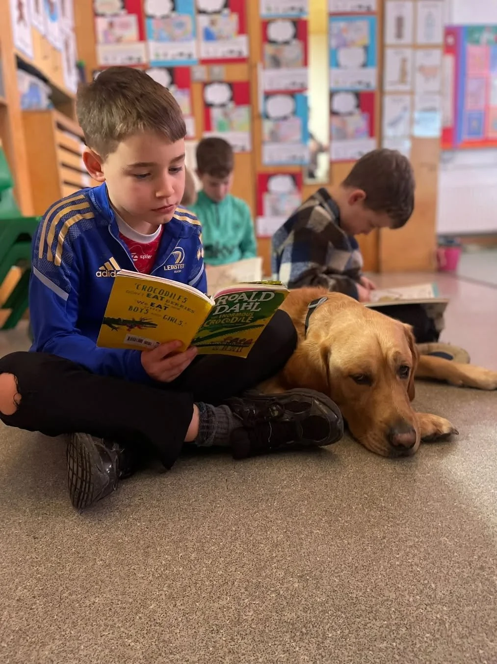 Percy loves DEAR time in Ellie&rsquo;s 2nd Class