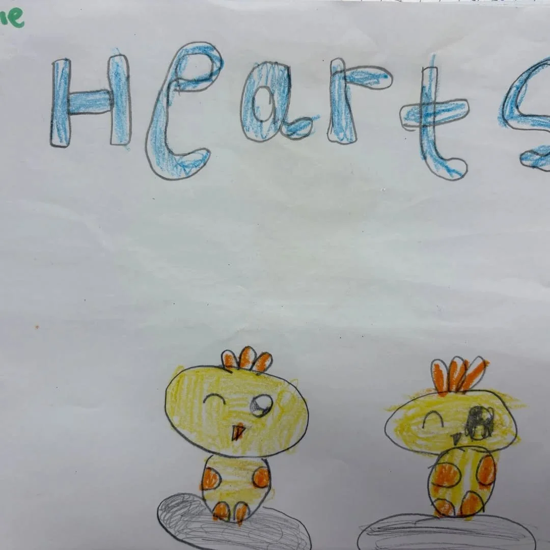 Orlaith's Senior Infants went to see the two chick's this morning and drew pictures of what they think the second Chick will look like