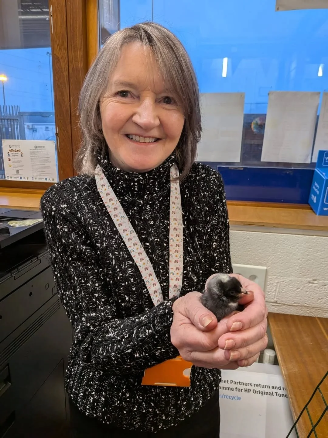 Our wonderful Secretary Adrienne has been so good minding and checking our eggs and chick's