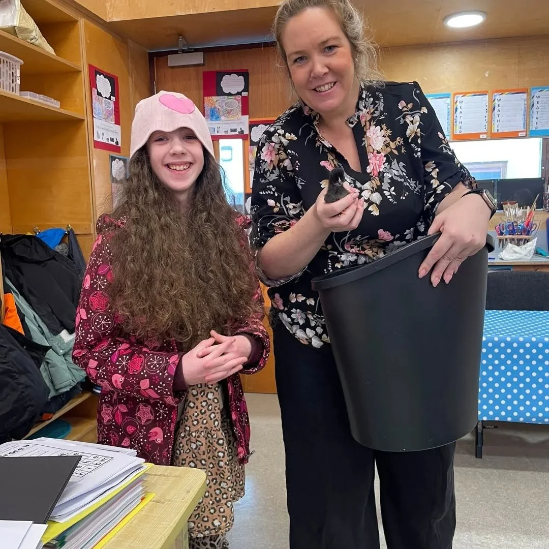 Look who Aileen and Kelly brought to Ellie&rsquo;s 2nd class today, some cute little chick's