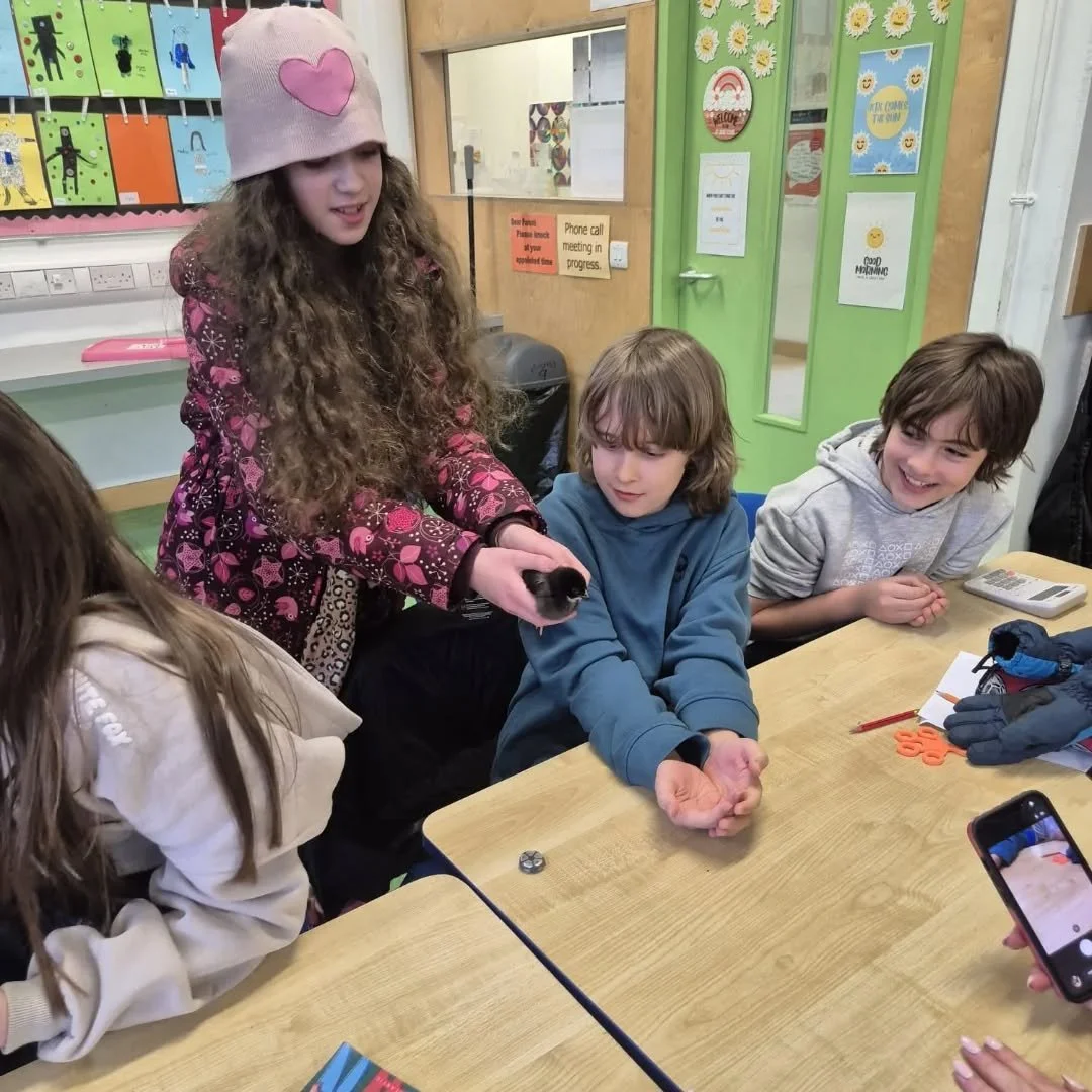 Thank you so much to Aileen for bringing the chick's around to meet all our wonderful students today