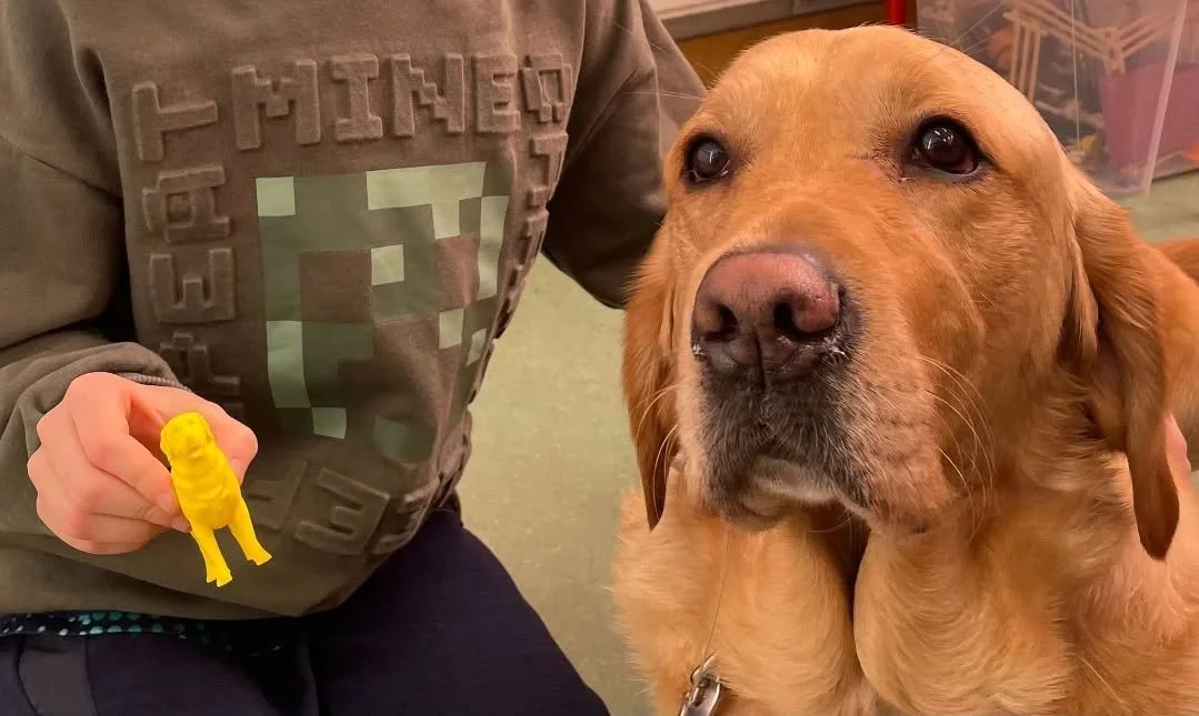 Percy gets lots of little gifts and notes of kindness. This week he got a very special 3D printed version of himself from a 3rd class pupil, it is incredible ❤️ 🐶