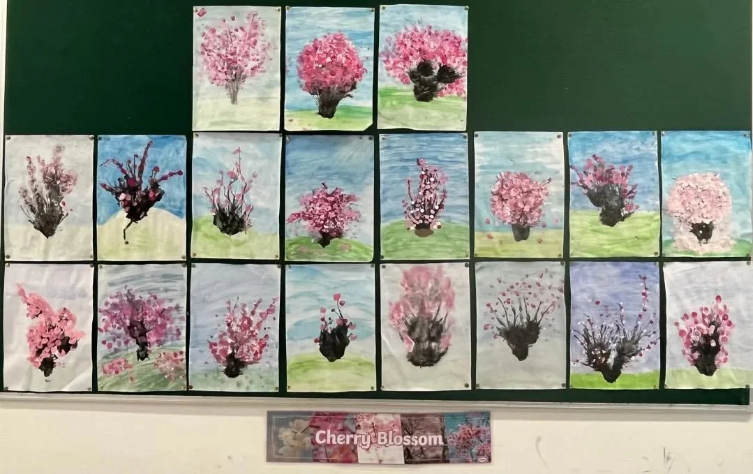 Cherry Blossoms by 6th Class 2. We used water colours, blow painting and finger painting to create these beautiful spring cherry blossoms 🌸
