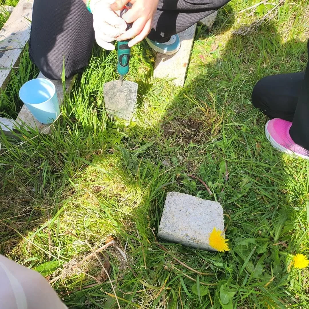 In Claire's 3rd the children are learning about 'soil'. They took a soil sample from our Discovery Garden to see the different components of soil.