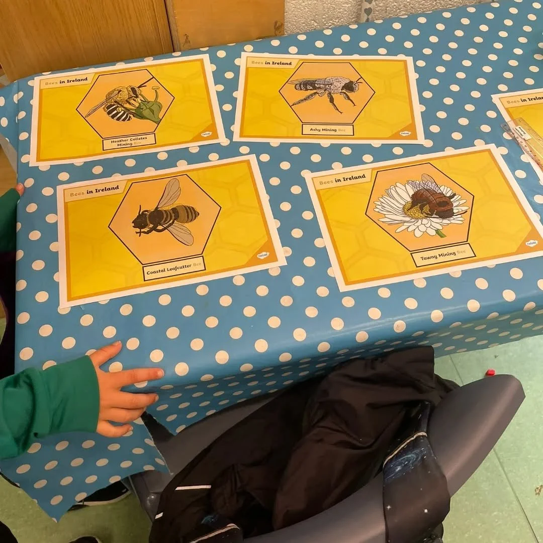 Ellie&rsquo;s second class have been busy learning about Bees in preperarion for World Bee Day this week 🐝