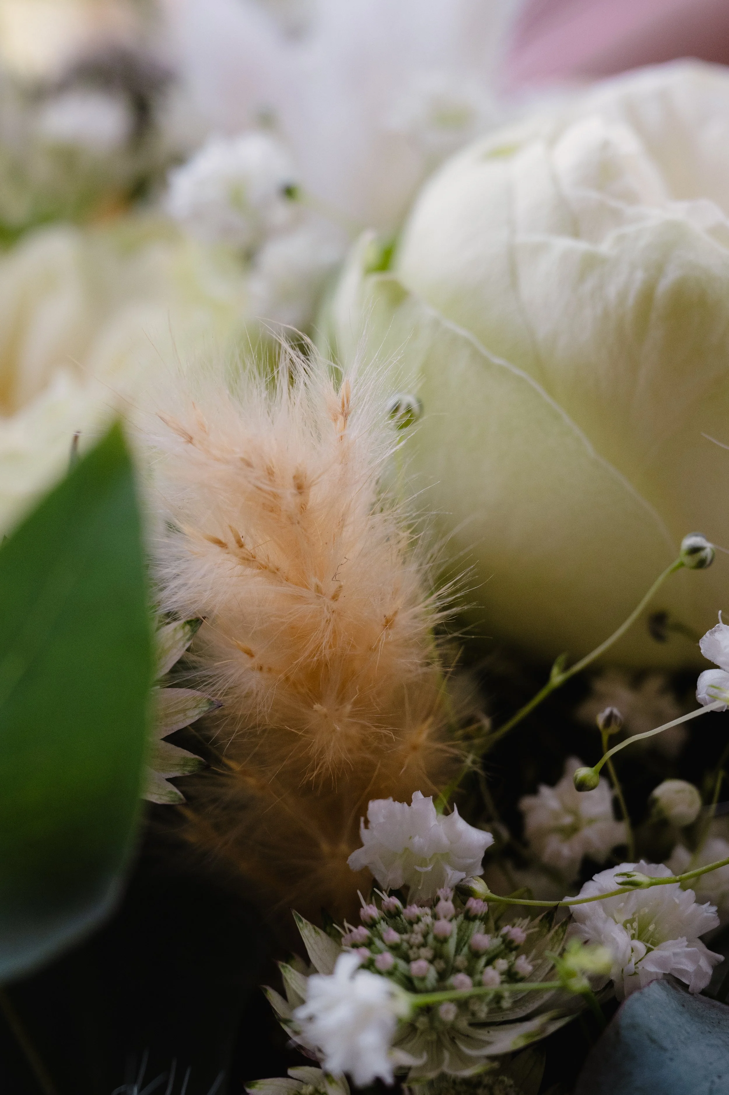 Petite plumes beige entourées de fleurs blanches et de feuilles vertes.
