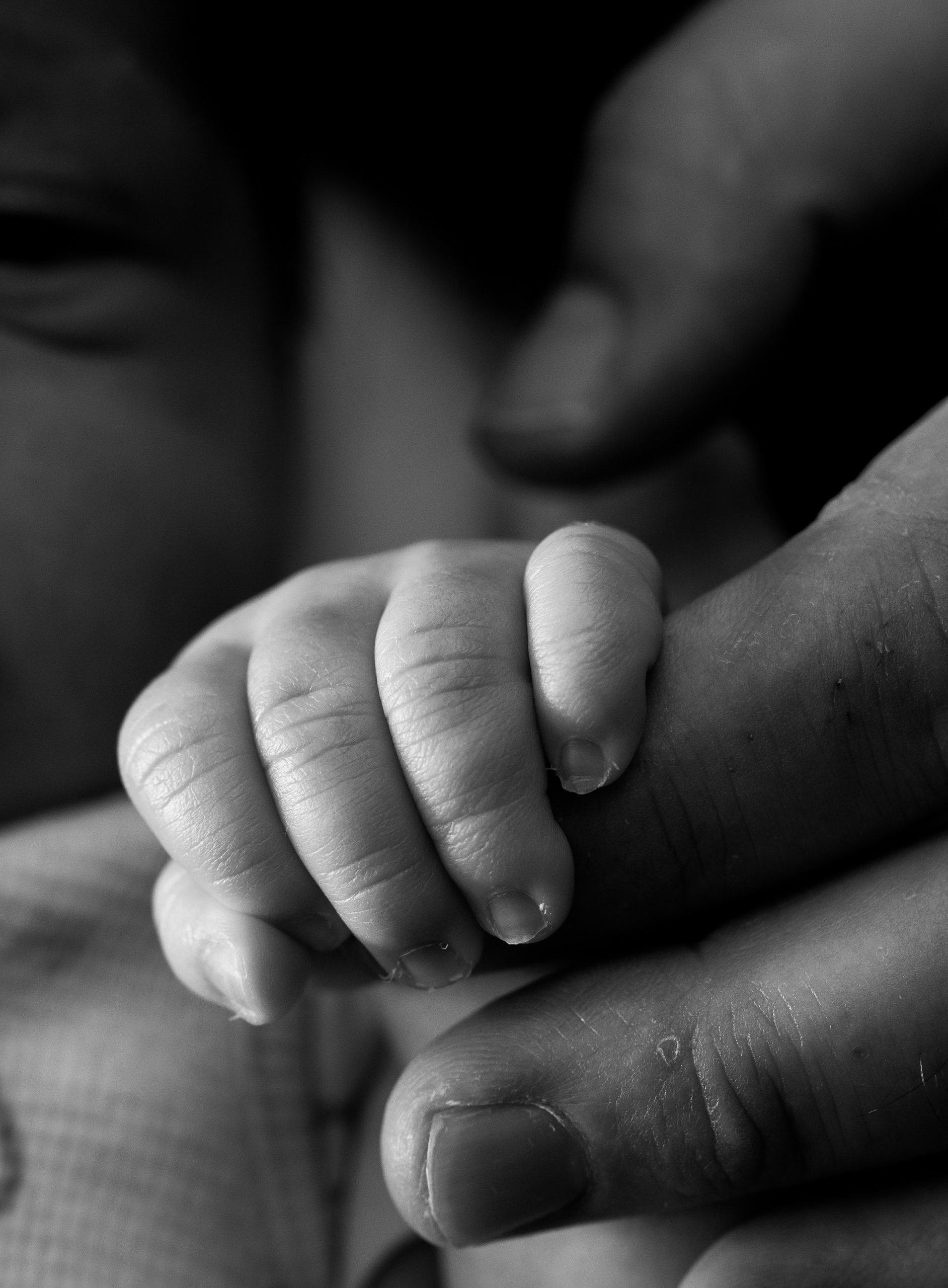 Une photo en noir et blanc montrant un bébé tenant le doigt d'une personne adulte.