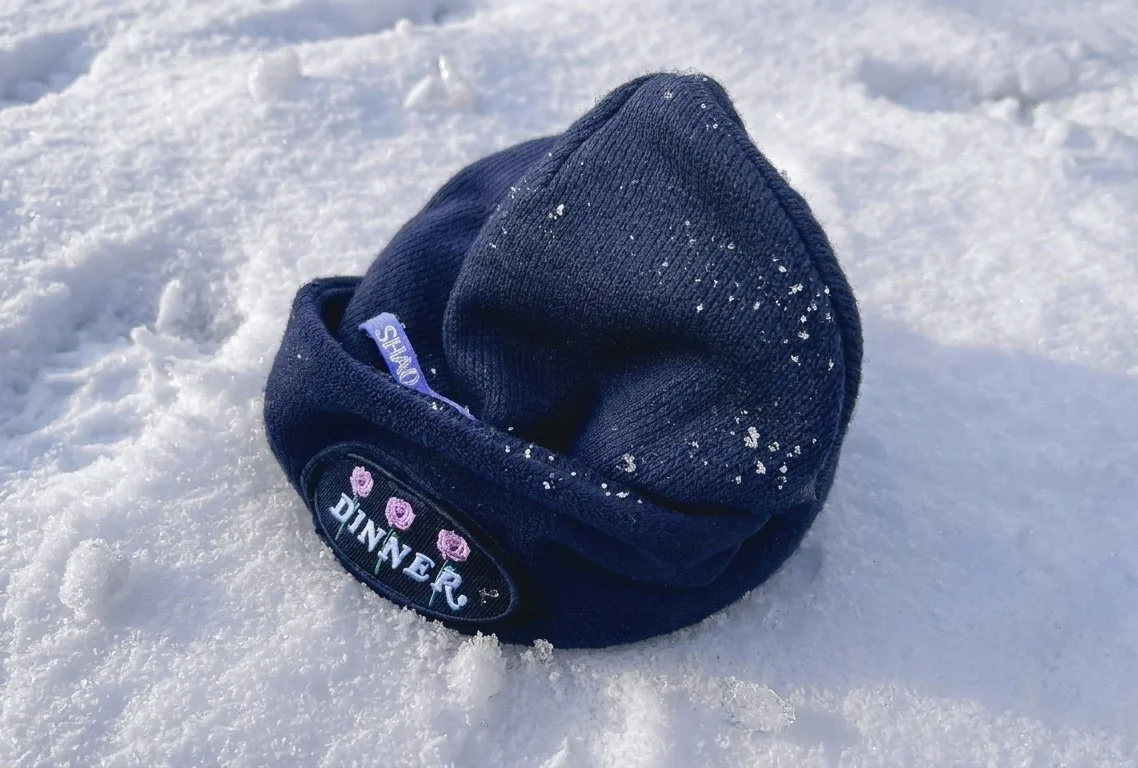 beanie2.jpg