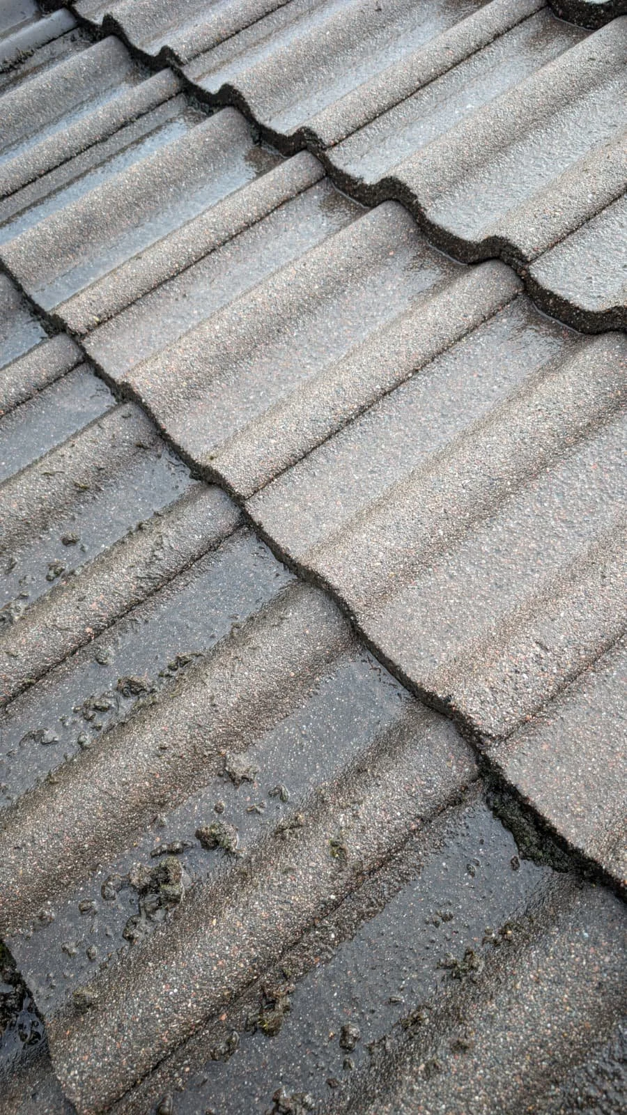 Miksi katon pesu on tärkeää?