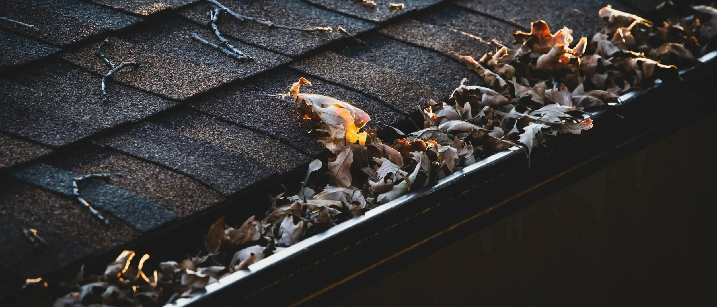 A gutter filled with leaves.