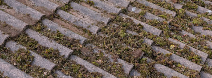Roof filled with moss