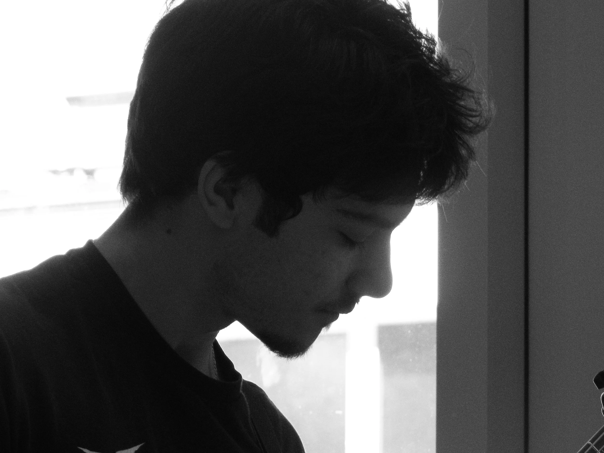 Yasen Dimitrov, Solar Devastation