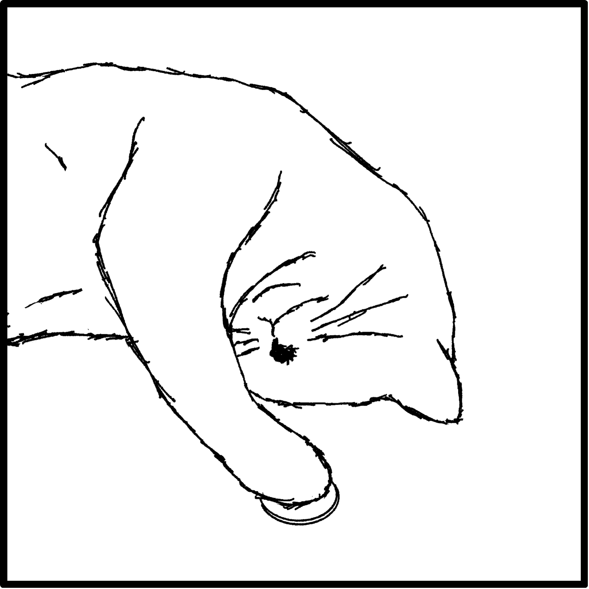 Sketch of cat playing with a quarter