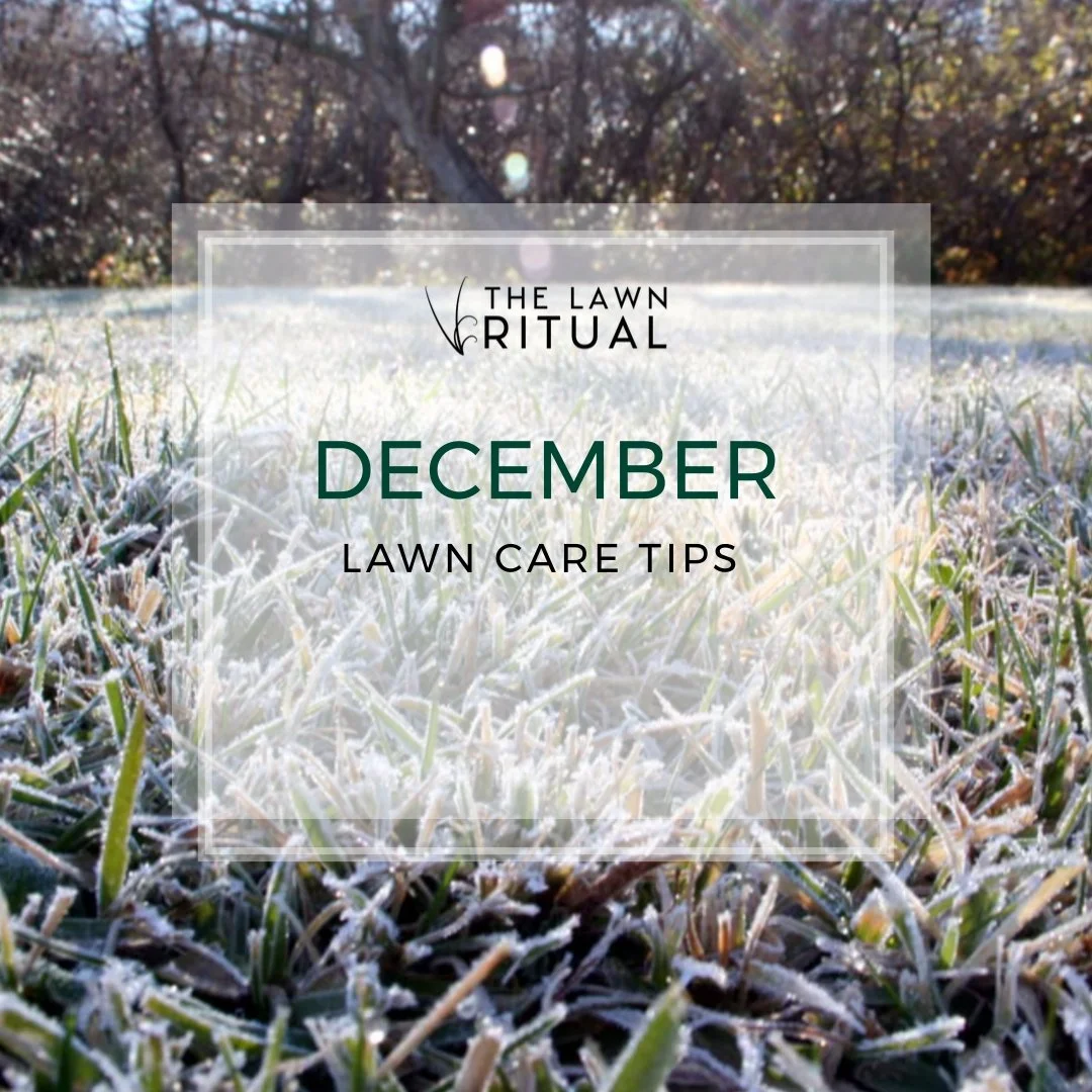 December Lawn Care Tips