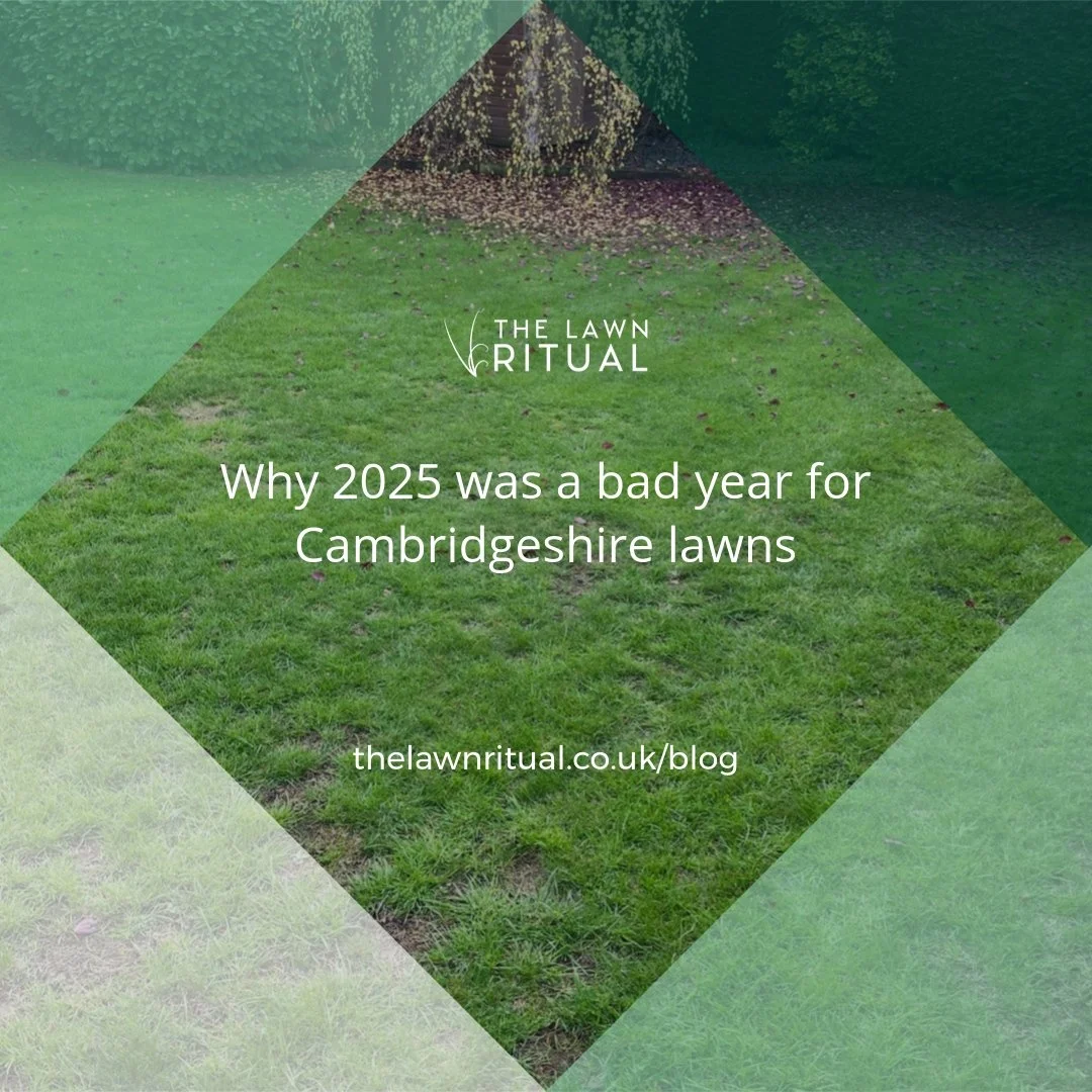 Why 2025 was a bad year for Cambridgeshire lawns