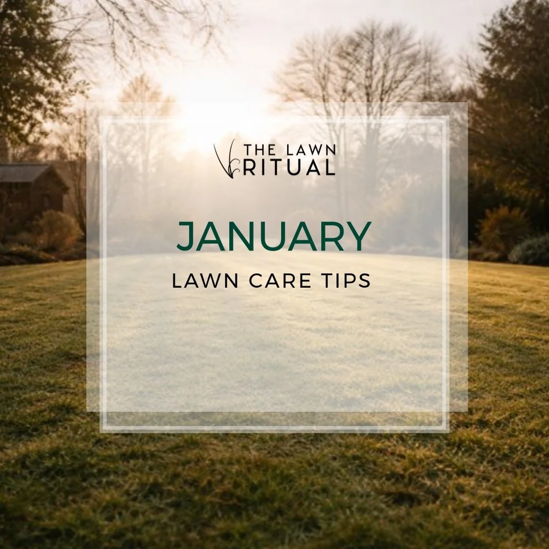 January: small steps now, big results later 🌱