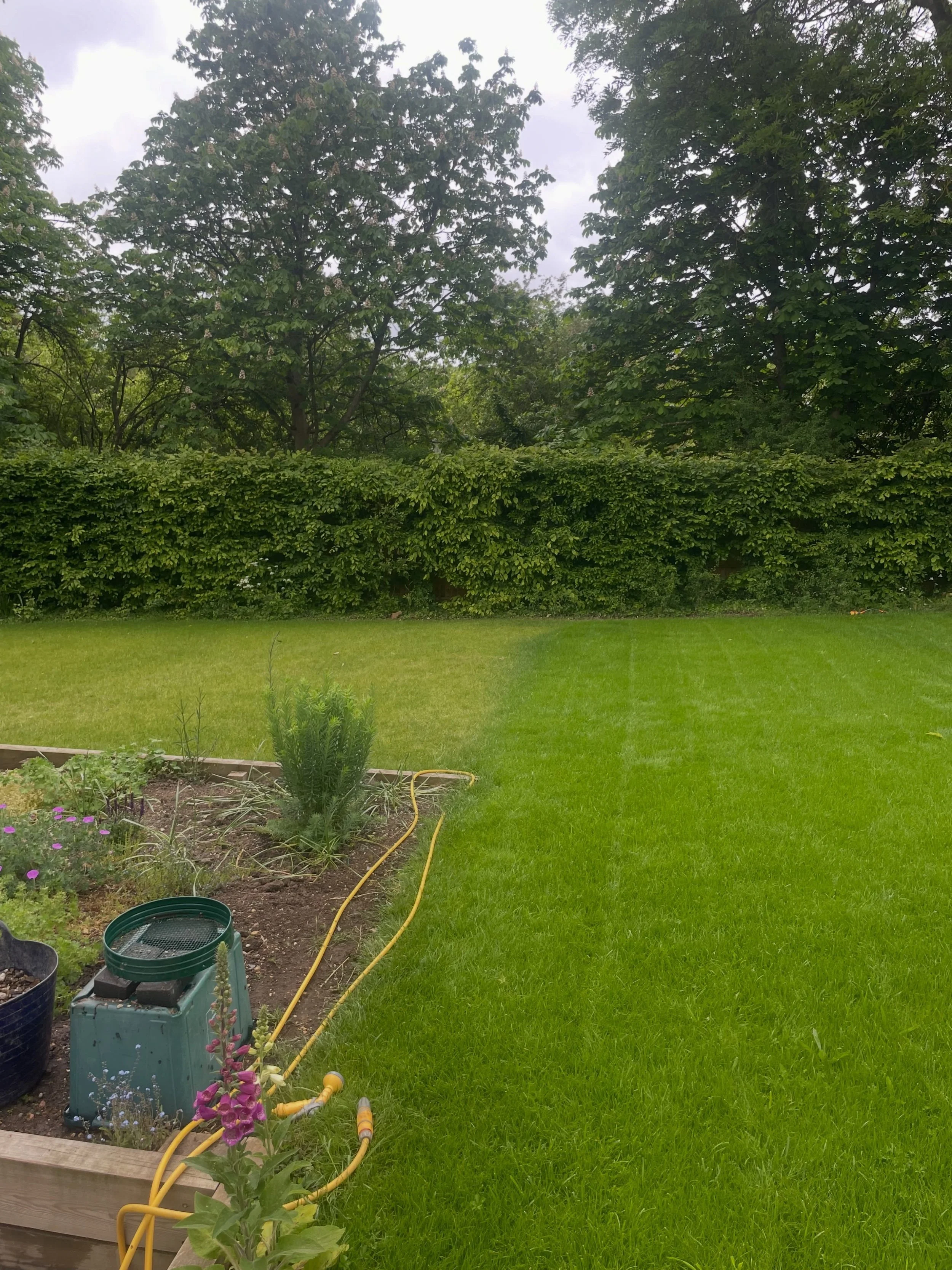 Earlier this spring, we renovated the worst 600m&sup2; of this 1,500m&sup2; lawn rather than tackling the entire area at once.

Why? Because aftercare matters just as much as the renovation itself. Watering newly seeded grass properly is essential, a