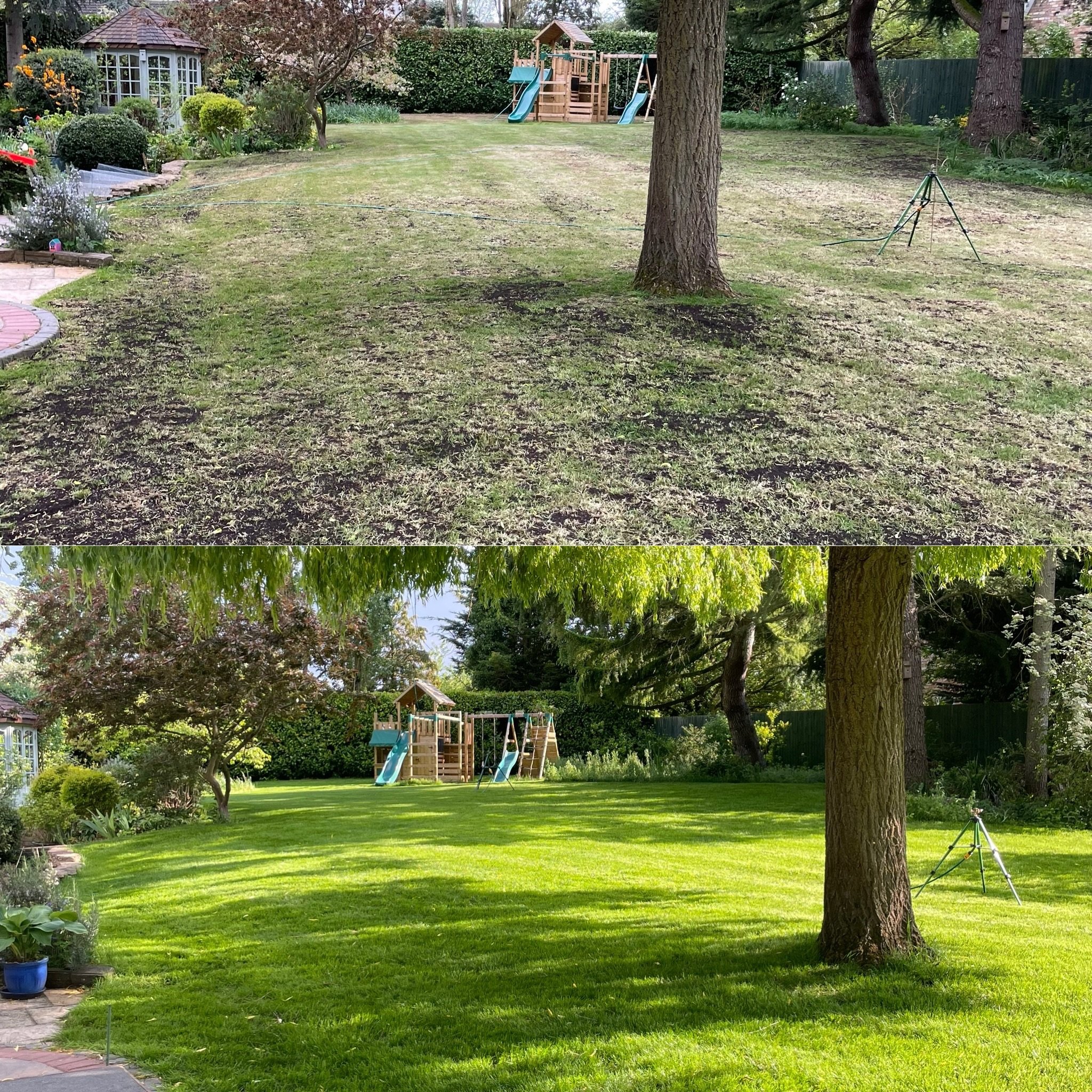 Another happy Reno customer 4 weeks on! 

#lawncare #lawnrenovation #beforeandafter #lawn #cambridgeshire