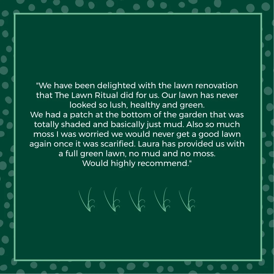 Another lovely review in from a spring renovation customer, who is now on a treatment plan.

From moss, mud and bare patches to a thick, healthy lawn.

This was the result of a spring renovation, but autumn is actually the best time of year for most 