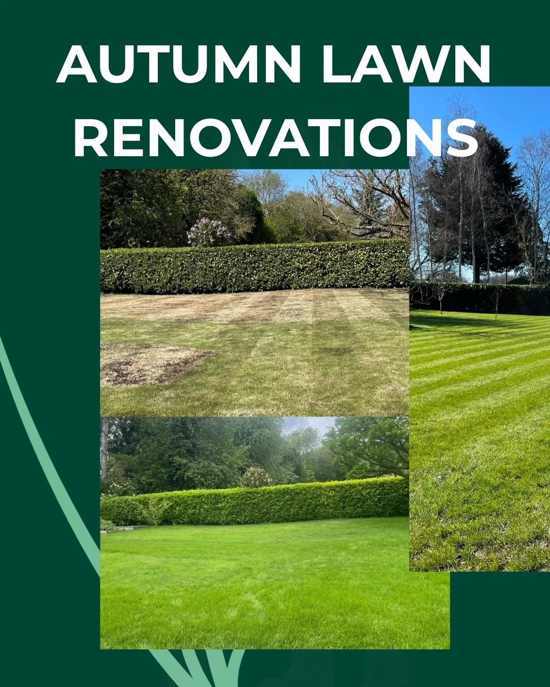 Most lawns have had a tough summer so far....

Heat, dry weather and regular use can leave them looking thinner than they did in spring. In many cases, a renovation is all that&rsquo;s needed to help them recover.

Autumn is when soil temperatures ar