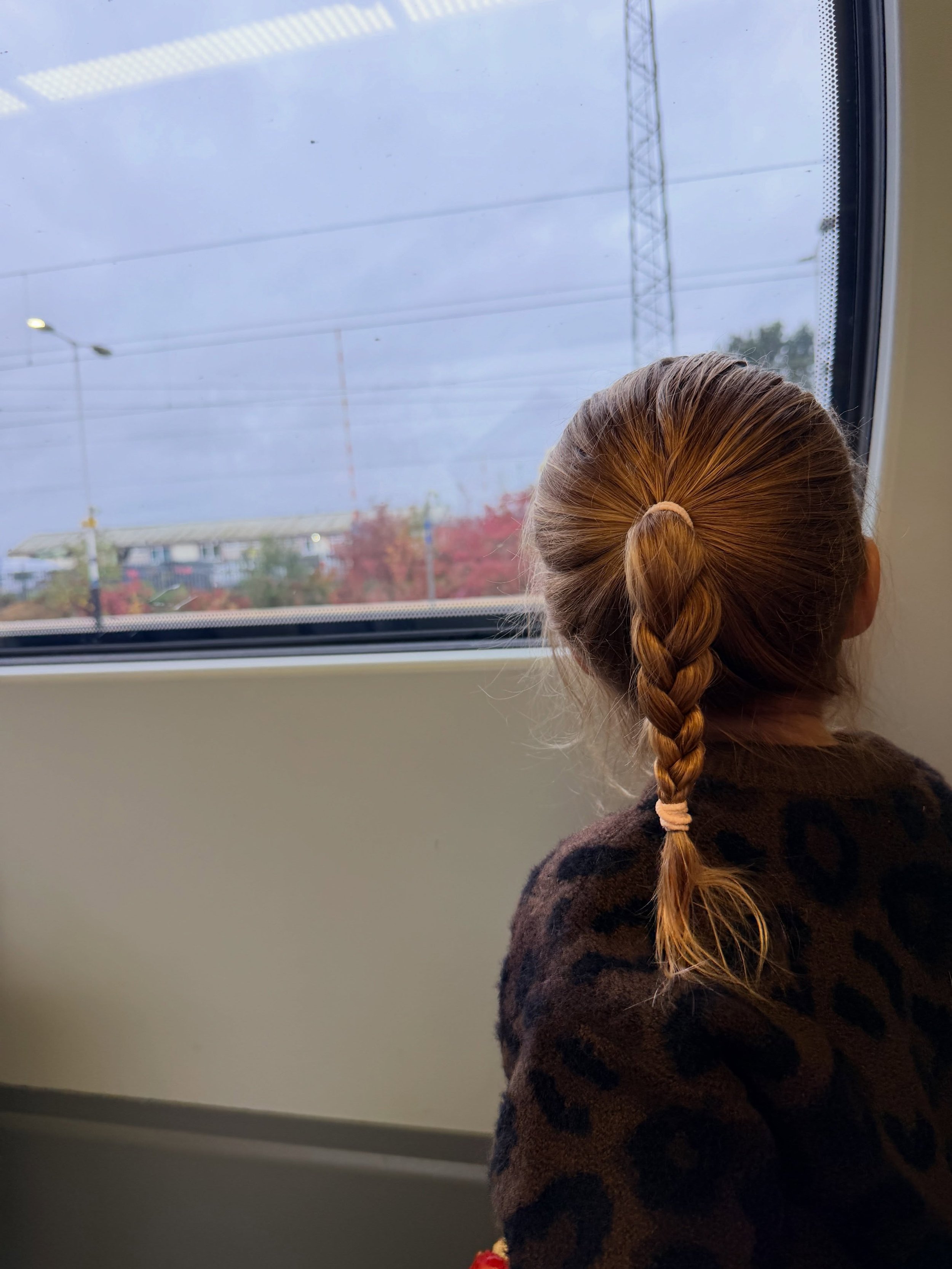 After a busy few months of long days and weekend working to get as many autumn lawn renovations completed as possible, I&rsquo;m taking a little break over half term to spend some time with my little girl. Which is why I chose to start this business 