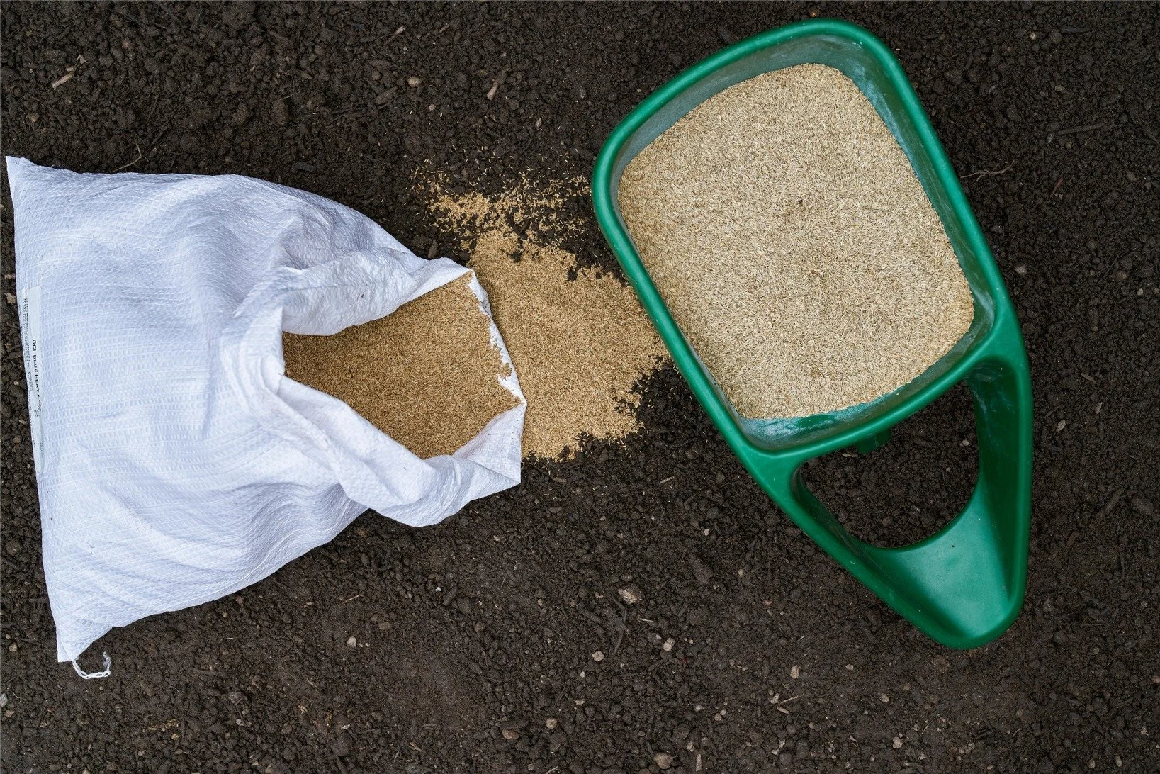 Bag of grass seed spilling onto a dirt surface with a green plastic container filled with sand nearby.