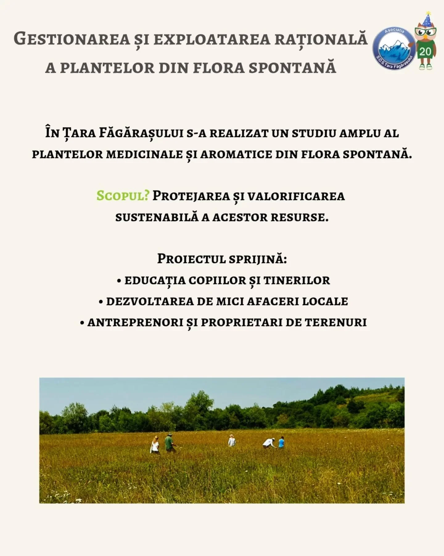 A poster in Romanian about sustainable management of wild plants, featuring logos, text, and a photo of people collecting plants in a field with trees and hills in the background.