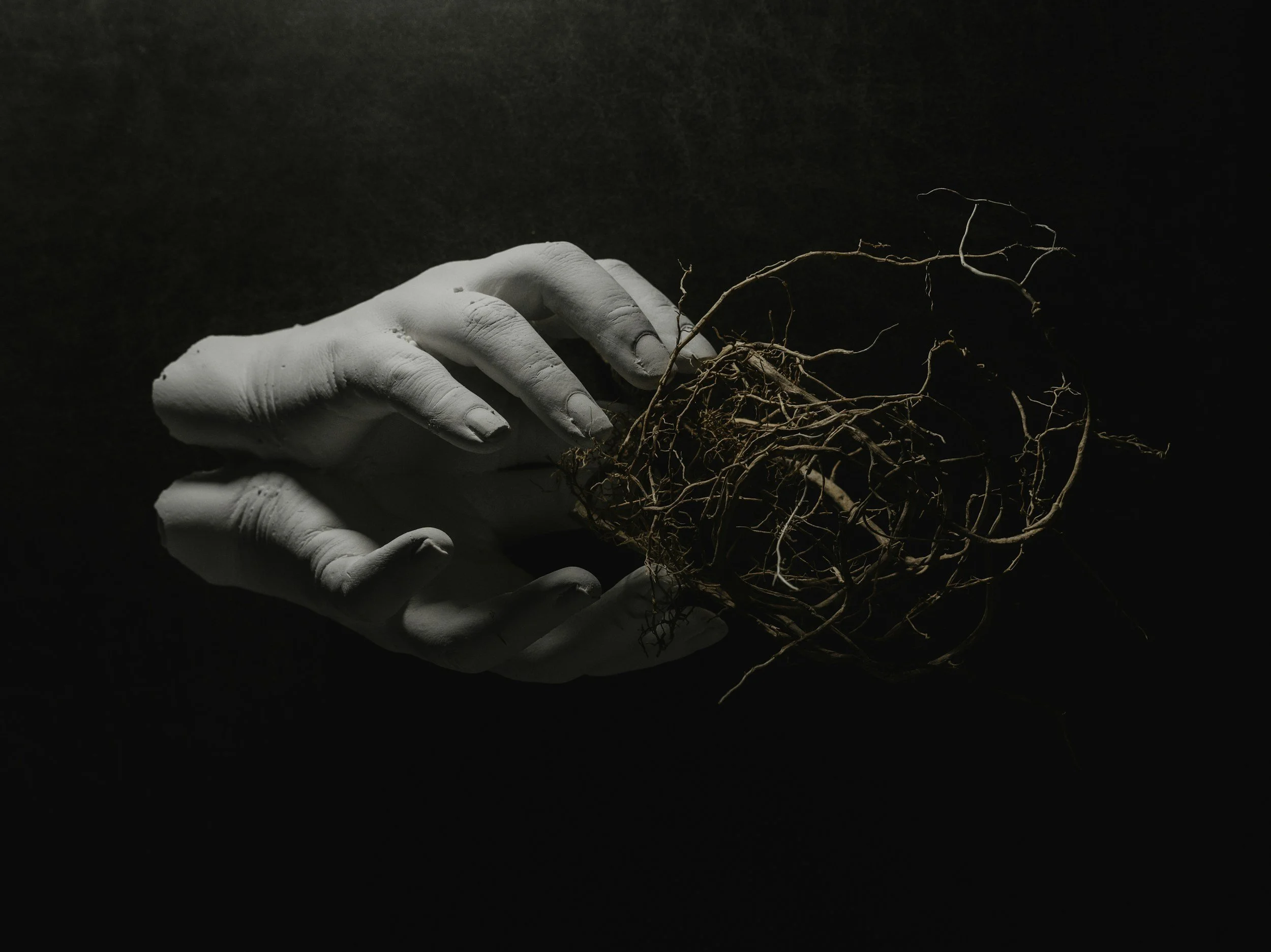 The Muck | Folio No. 2: Marrow, Mud, and the Ghost of a 15-Year-Old Poem