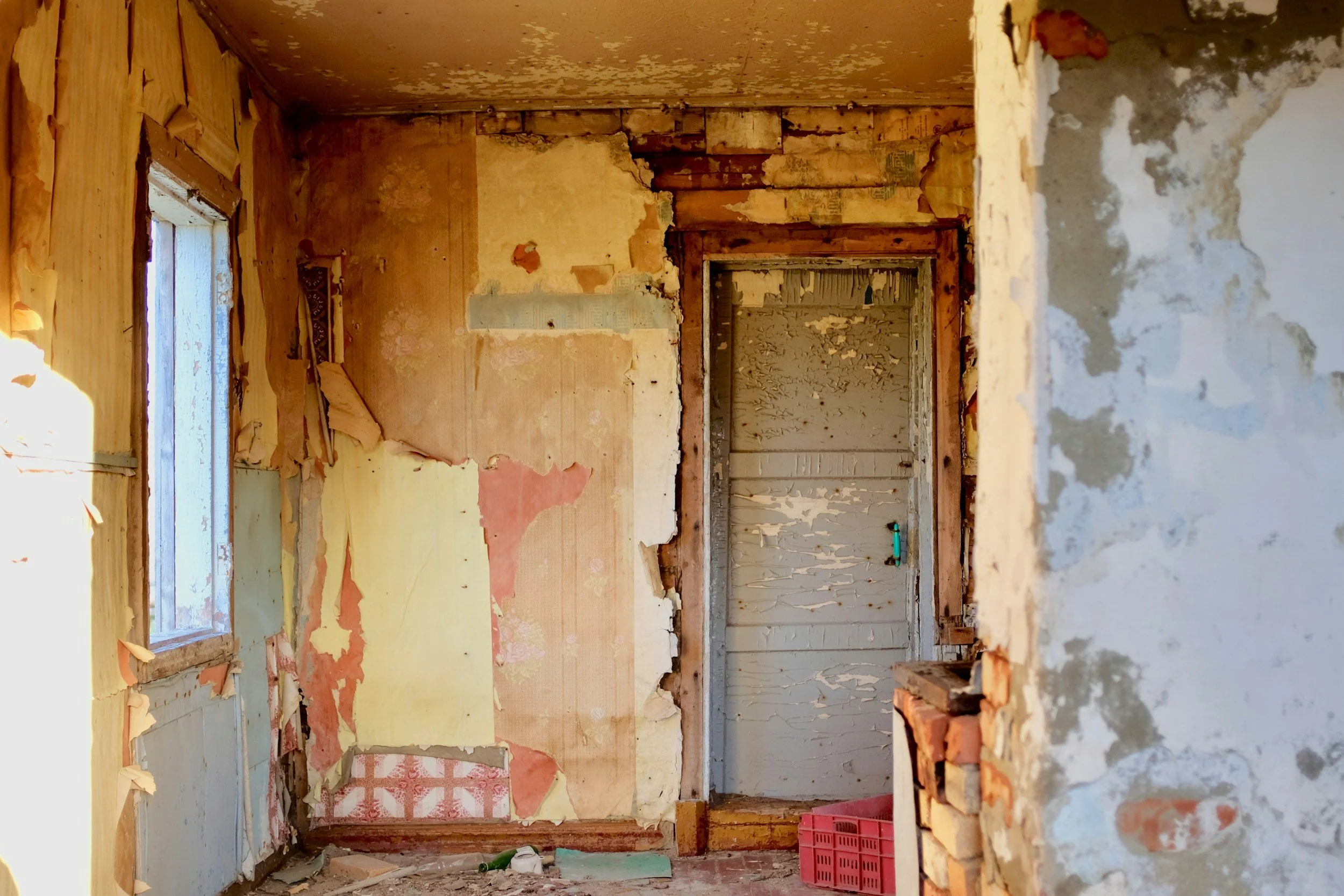 The Muck | Folio No. 4: What the House Knows