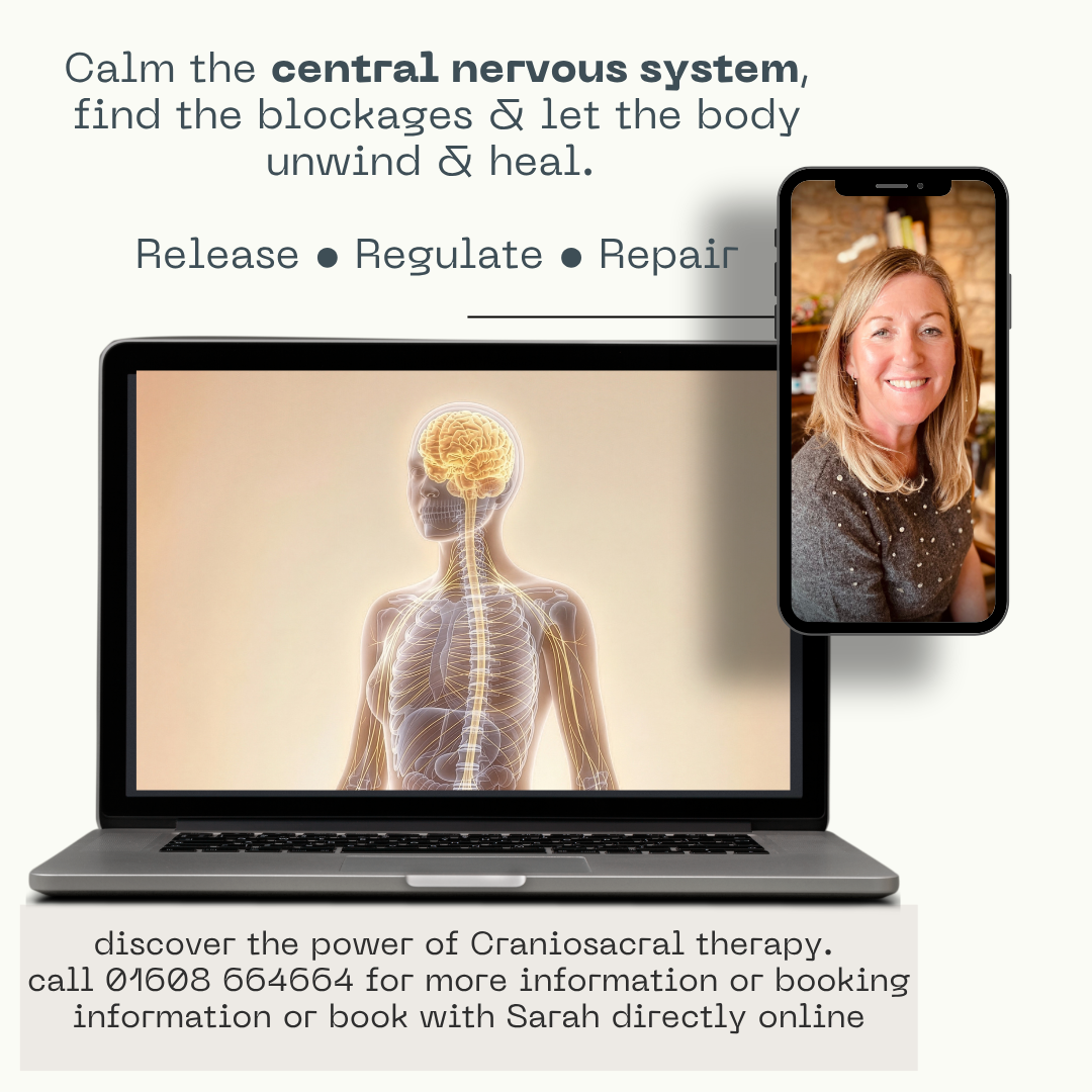 Is your nervous system stuck in fight, flight or even freeze...?  Craniosacral therapy is a gentle, hands on treatment that works on the fascia and central nervous system to help the body release tension, settle deeply and restore balance.  Available