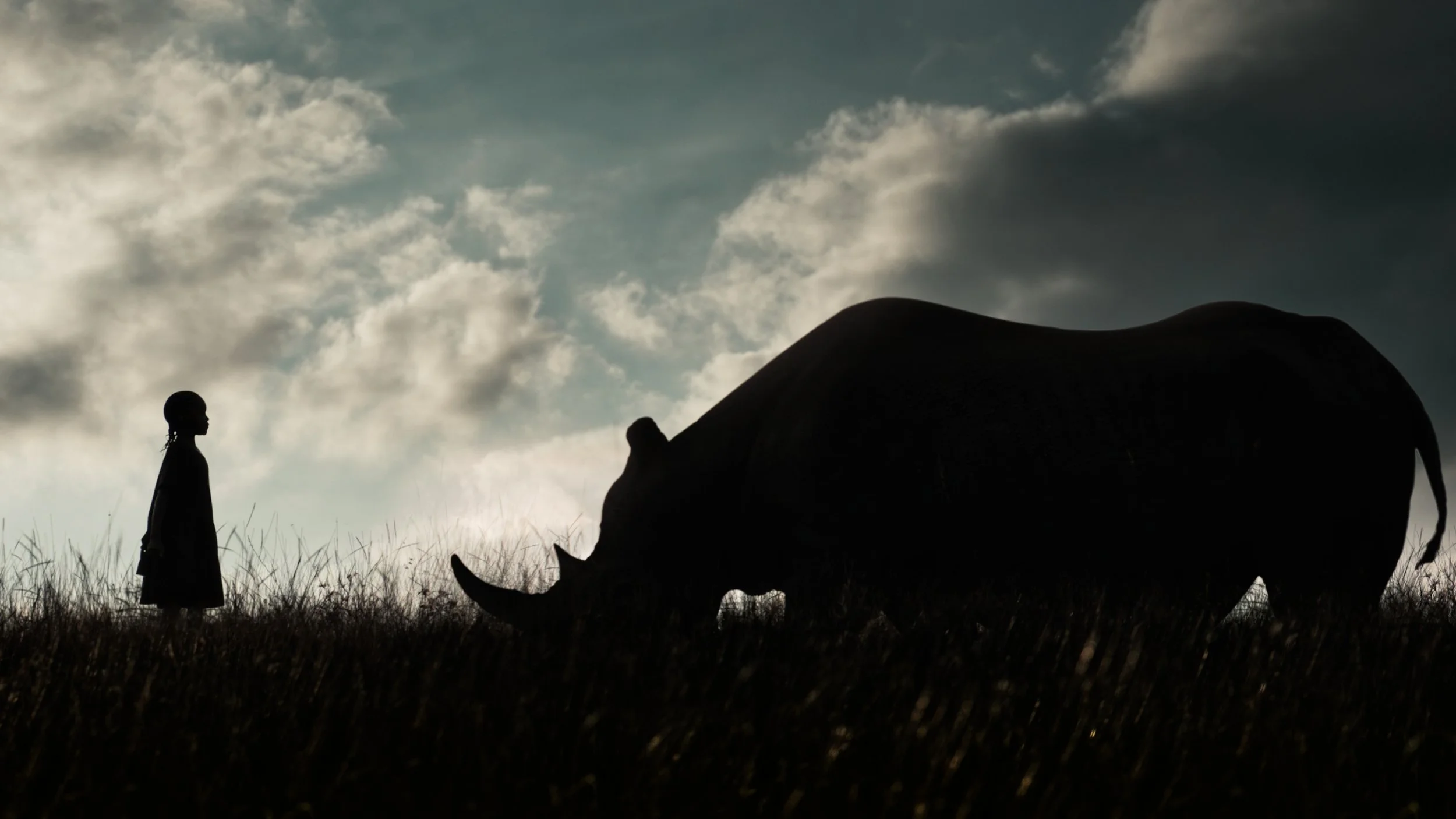 rhino thumbnail001.jpg