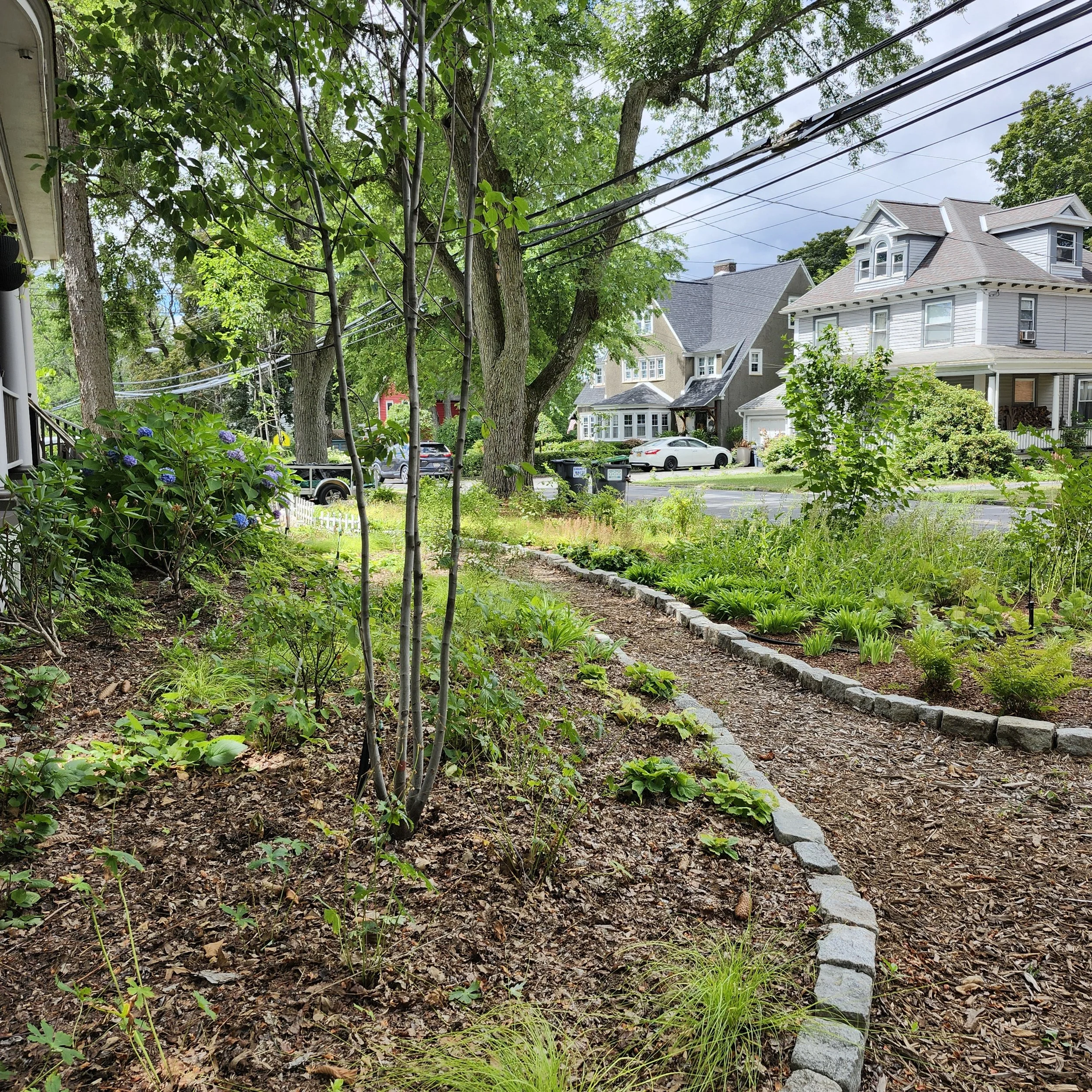 Van Antwerp 2025 Phase III_full garden 3.jpg
