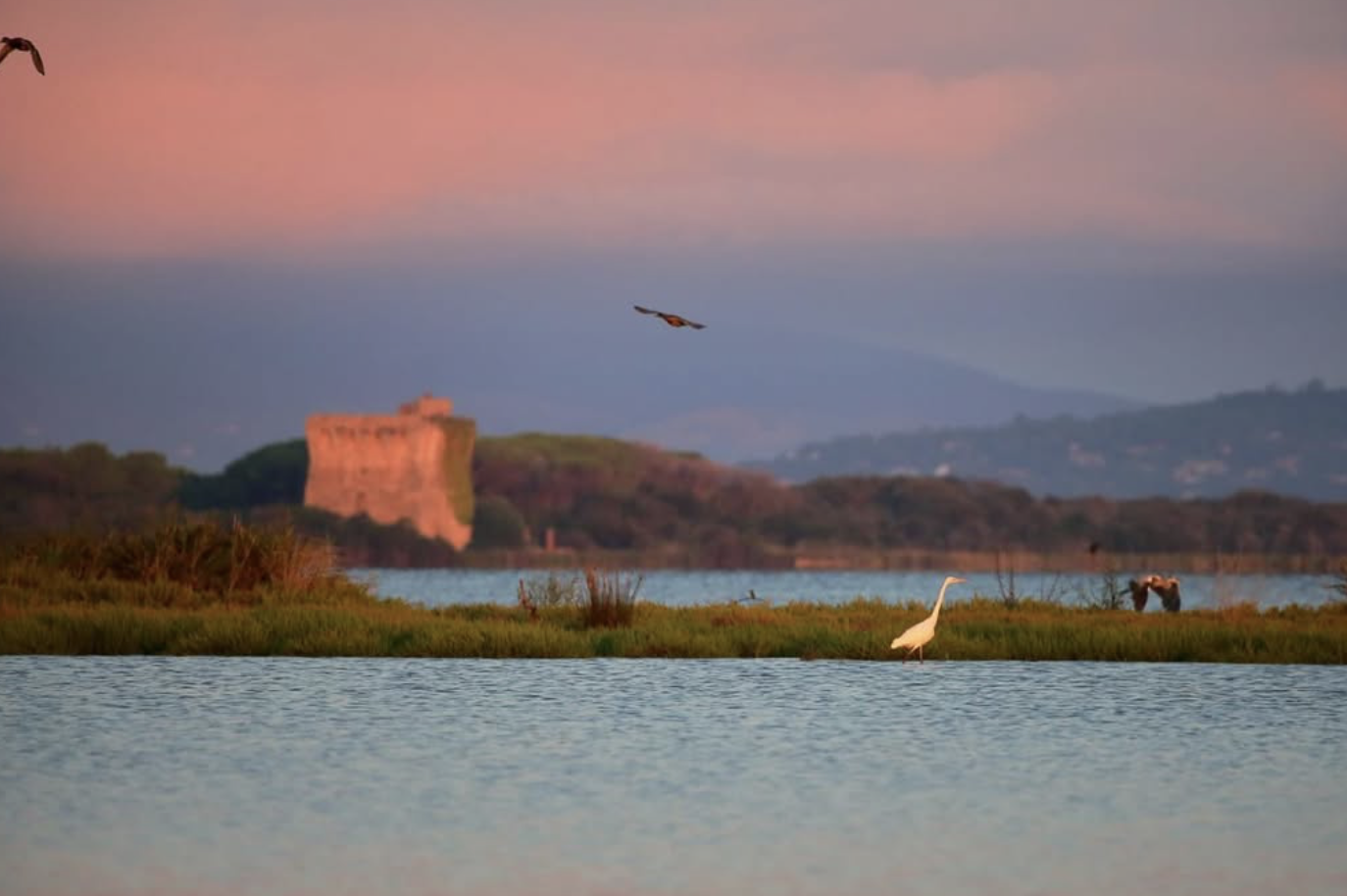 Capture d’écran 2026-01-12 à 06.04.10.png