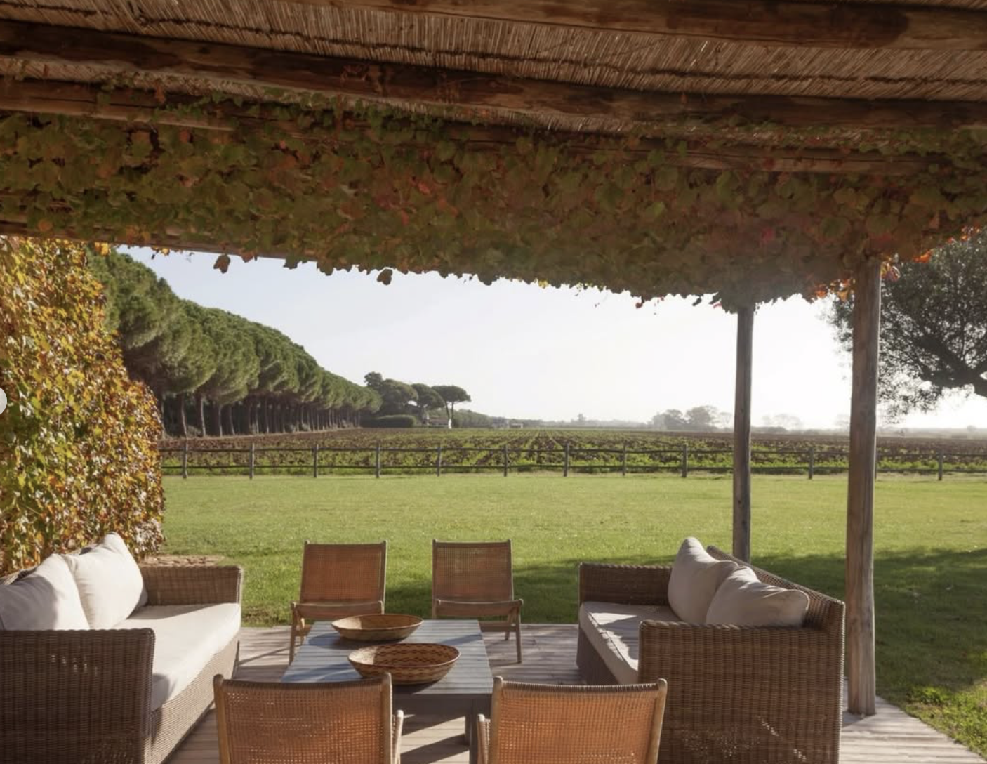 Capture d’écran 2026-01-12 à 06.05.11.png